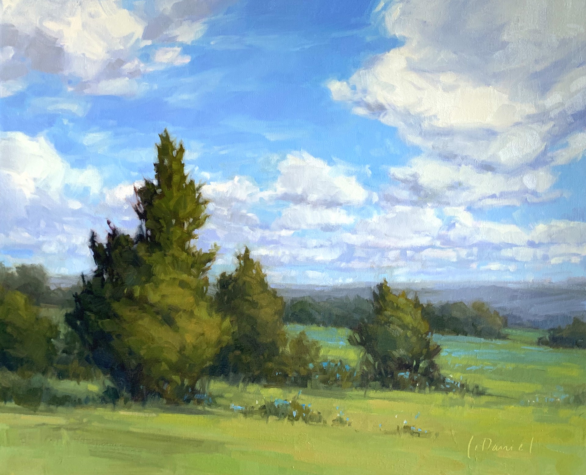 Hillside Meadows by Laurel Daniel