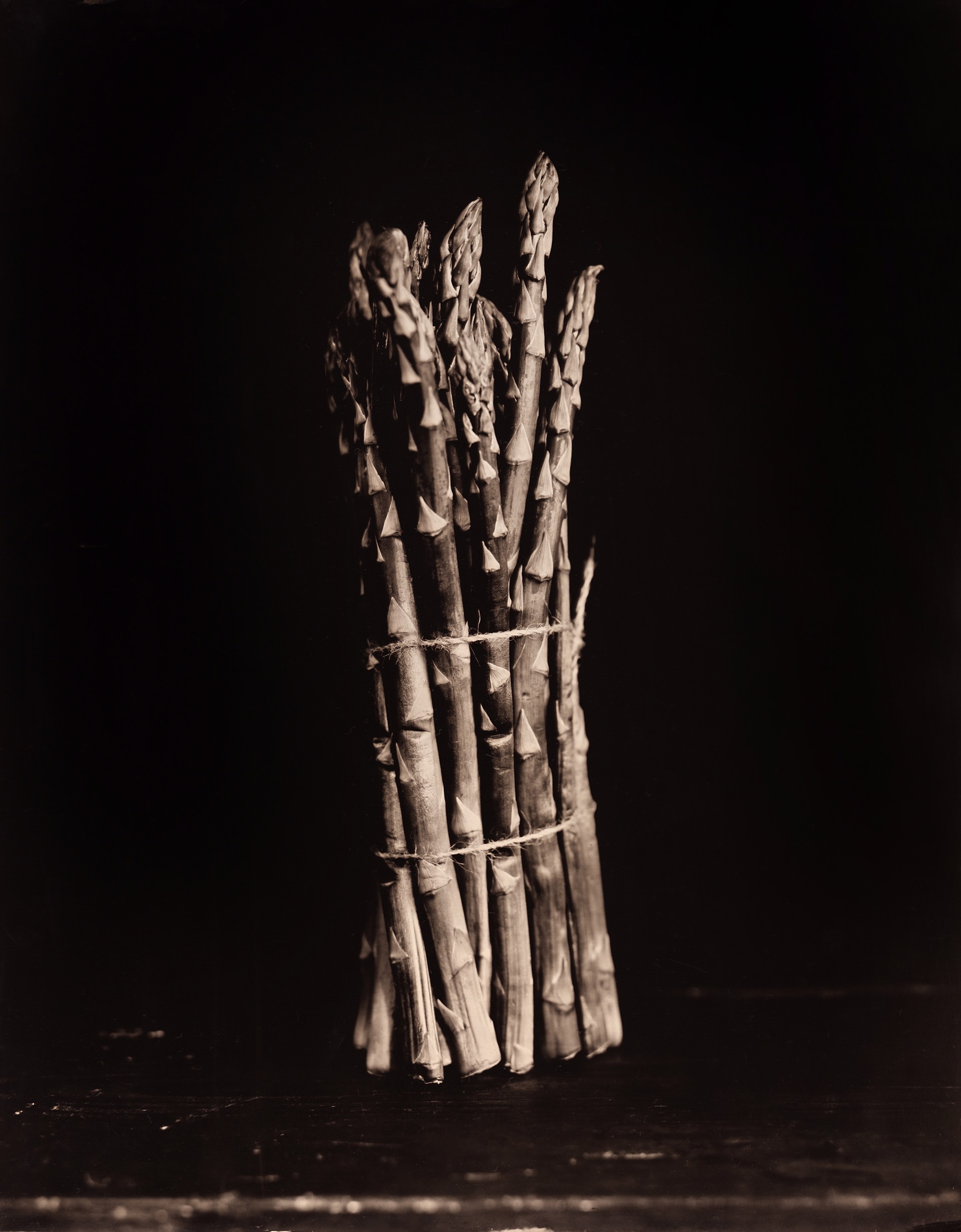 Asperges II by Éric Antoine