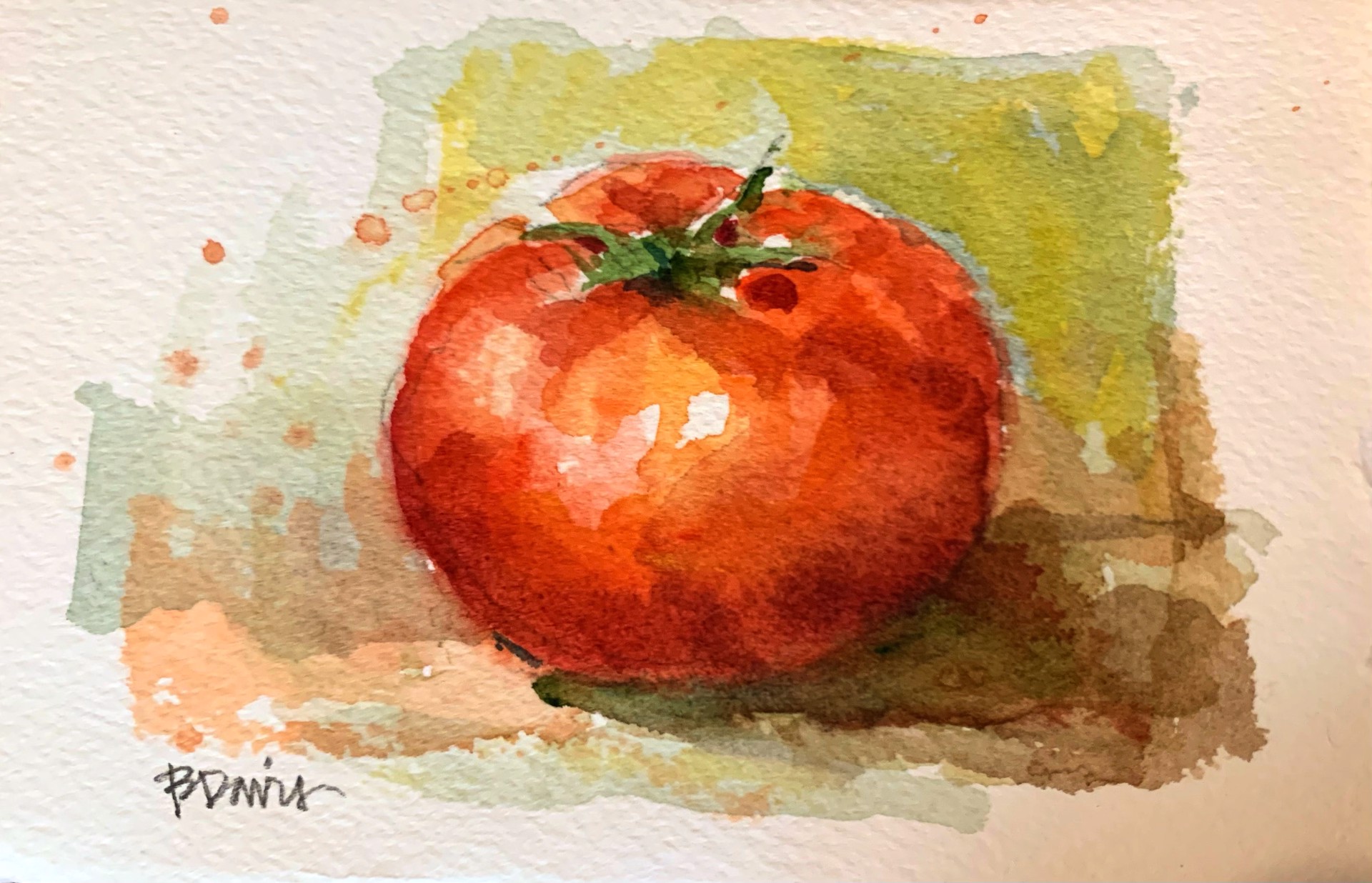 Summer Tomato by Barbara Davis