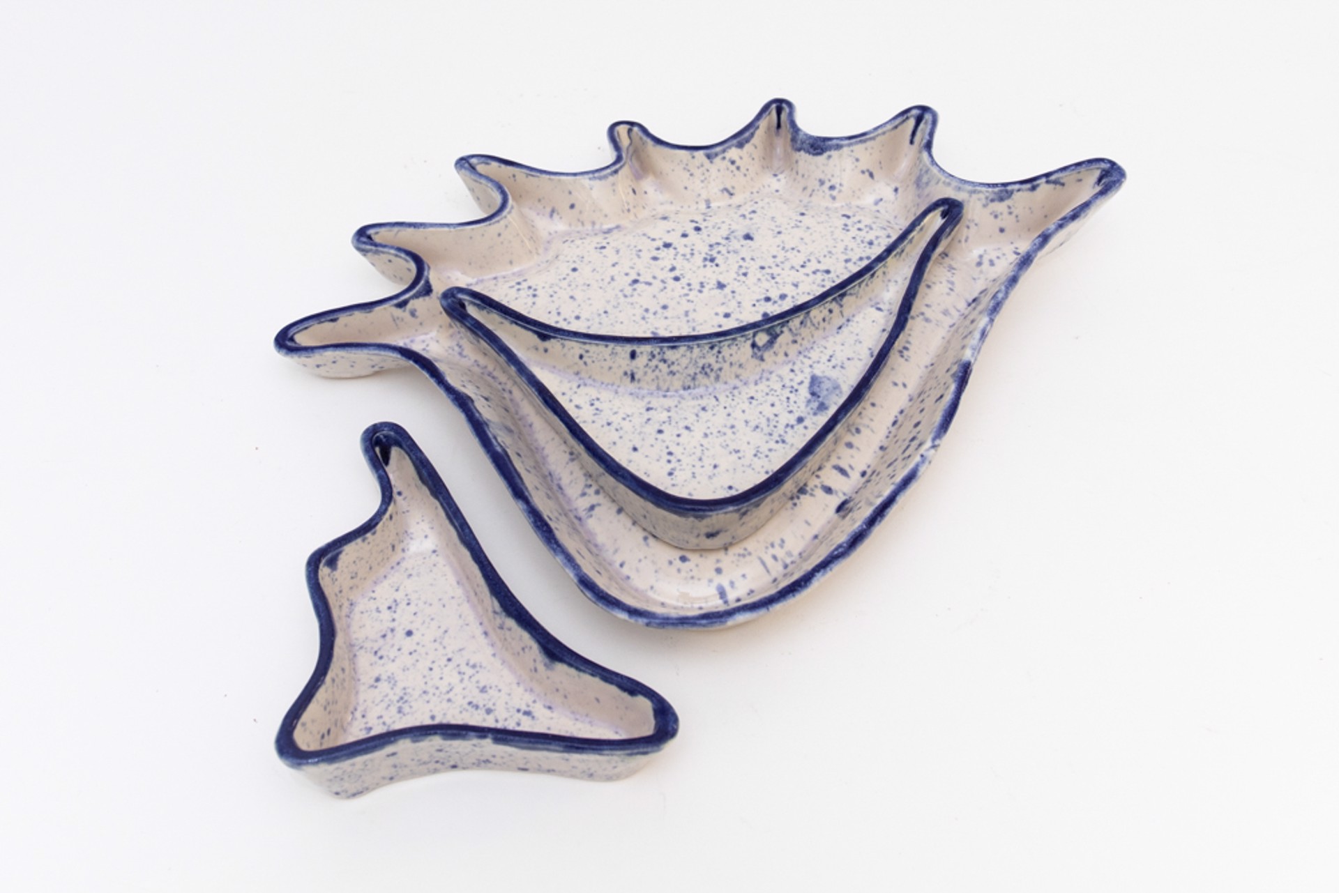 Seashells by Valentina Garcia