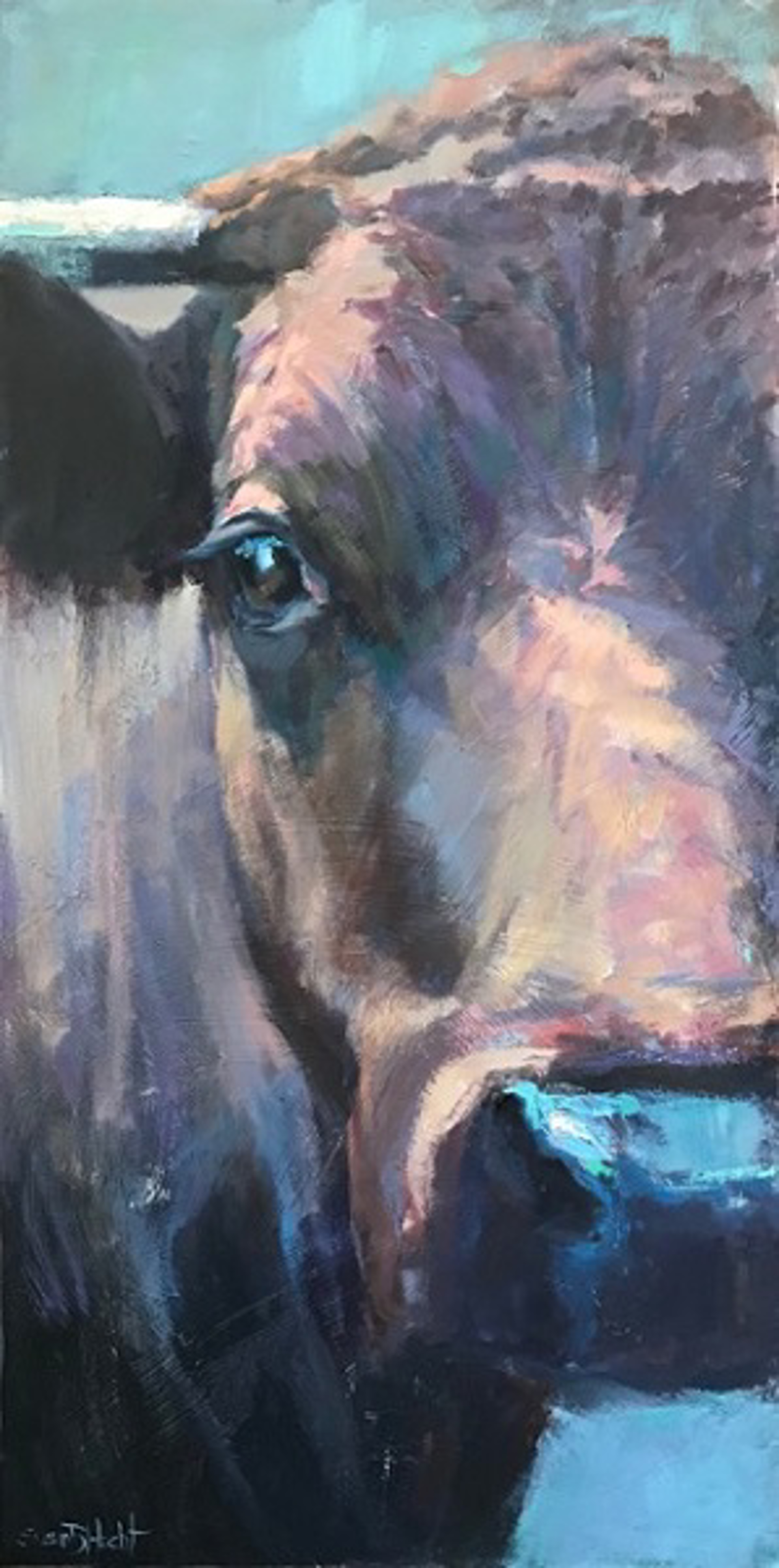 Bulls Eye by Susan Hecht
