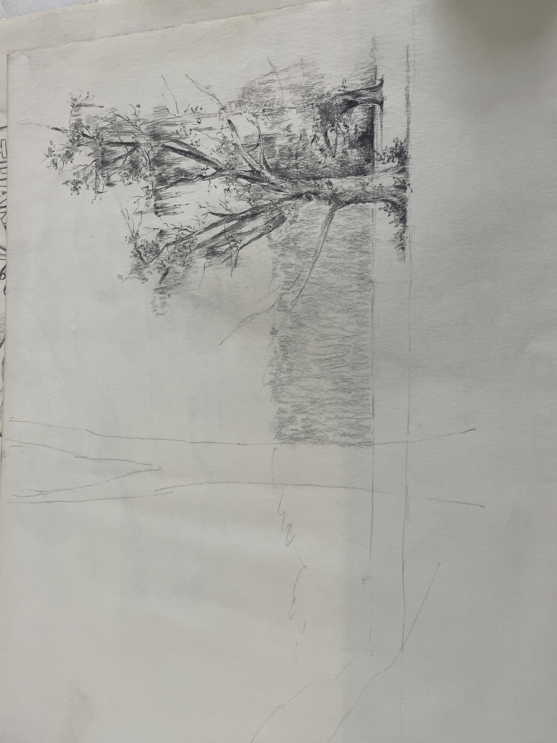 Tree (draft) by Shirley Rabe' Masinter