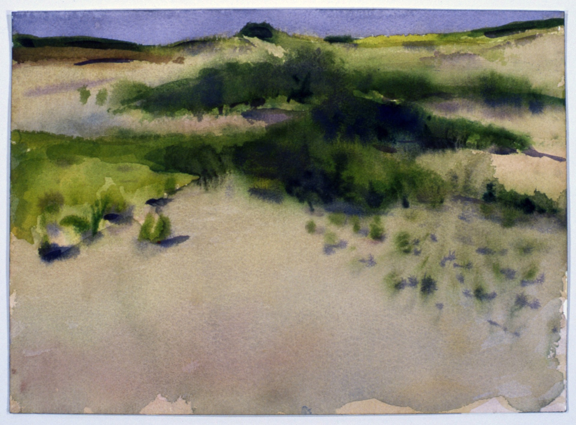 Great Dunes III, Provincetown by Joel Janowitz