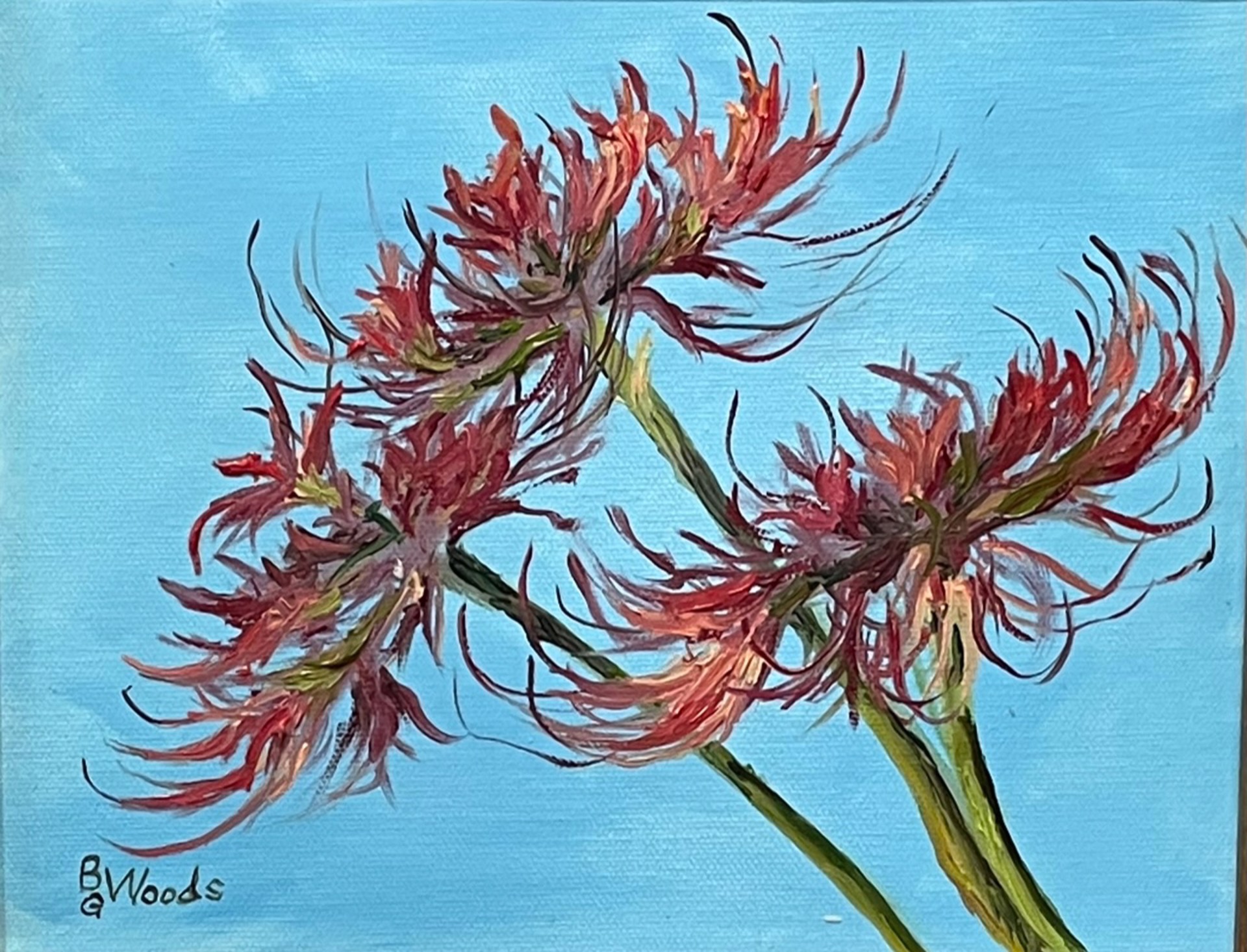 Spider Lilies by Beverly Woods