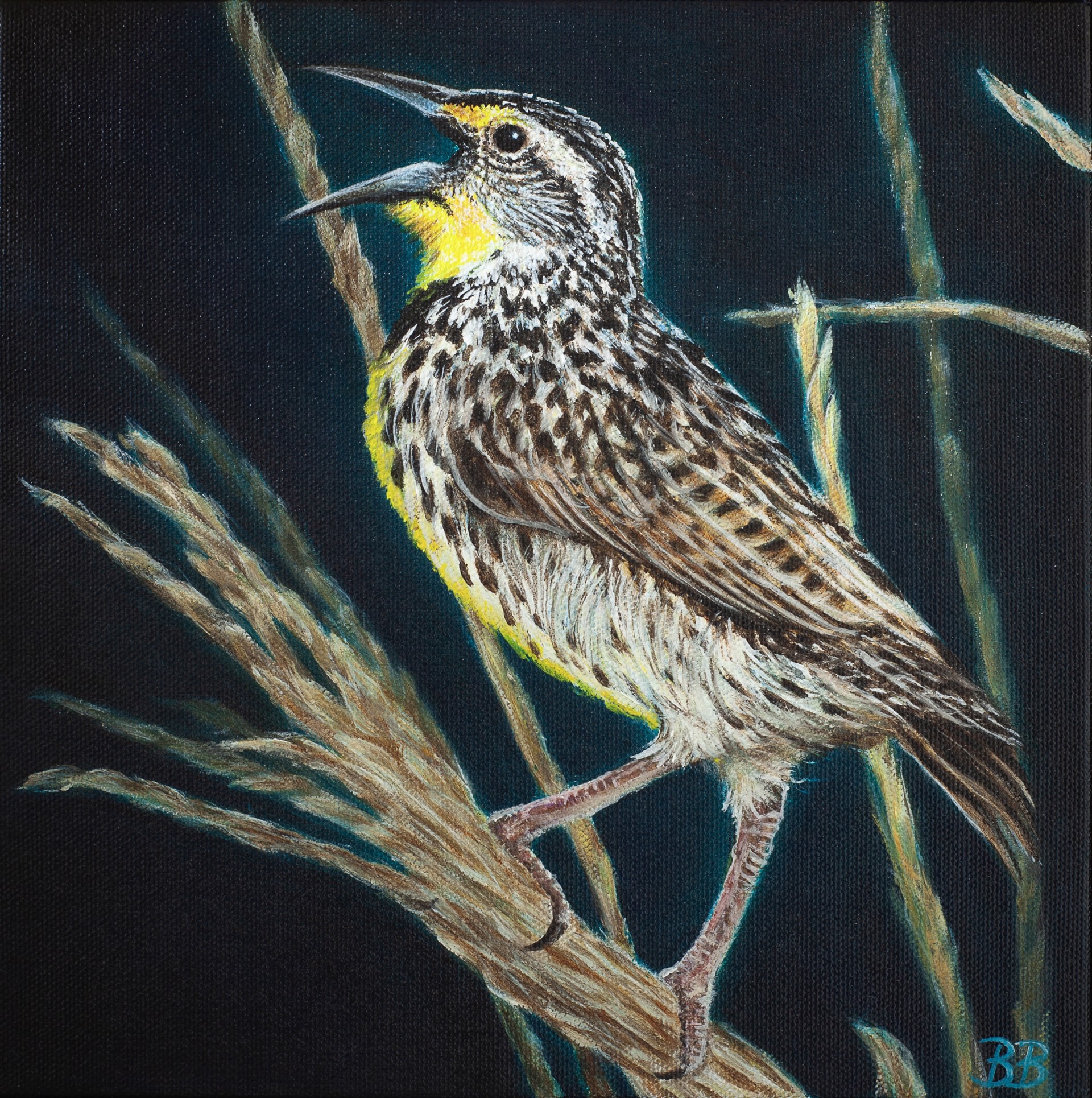 Meadowlark by Bailey Burton