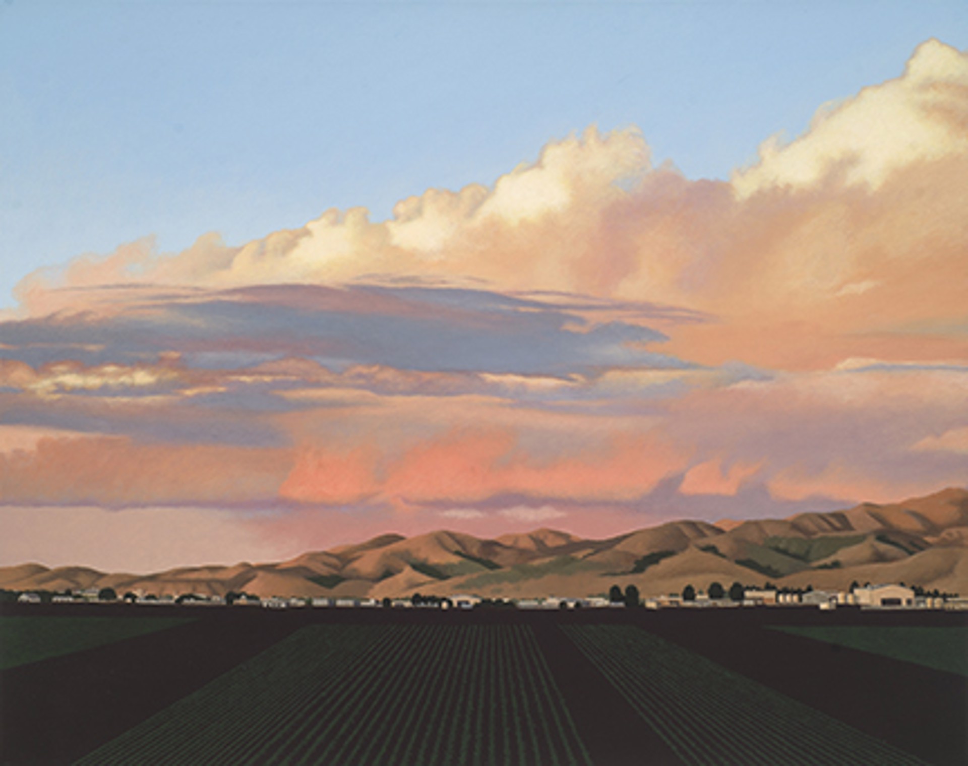 Salinas Valley from Spreckles by Andrea Johnson