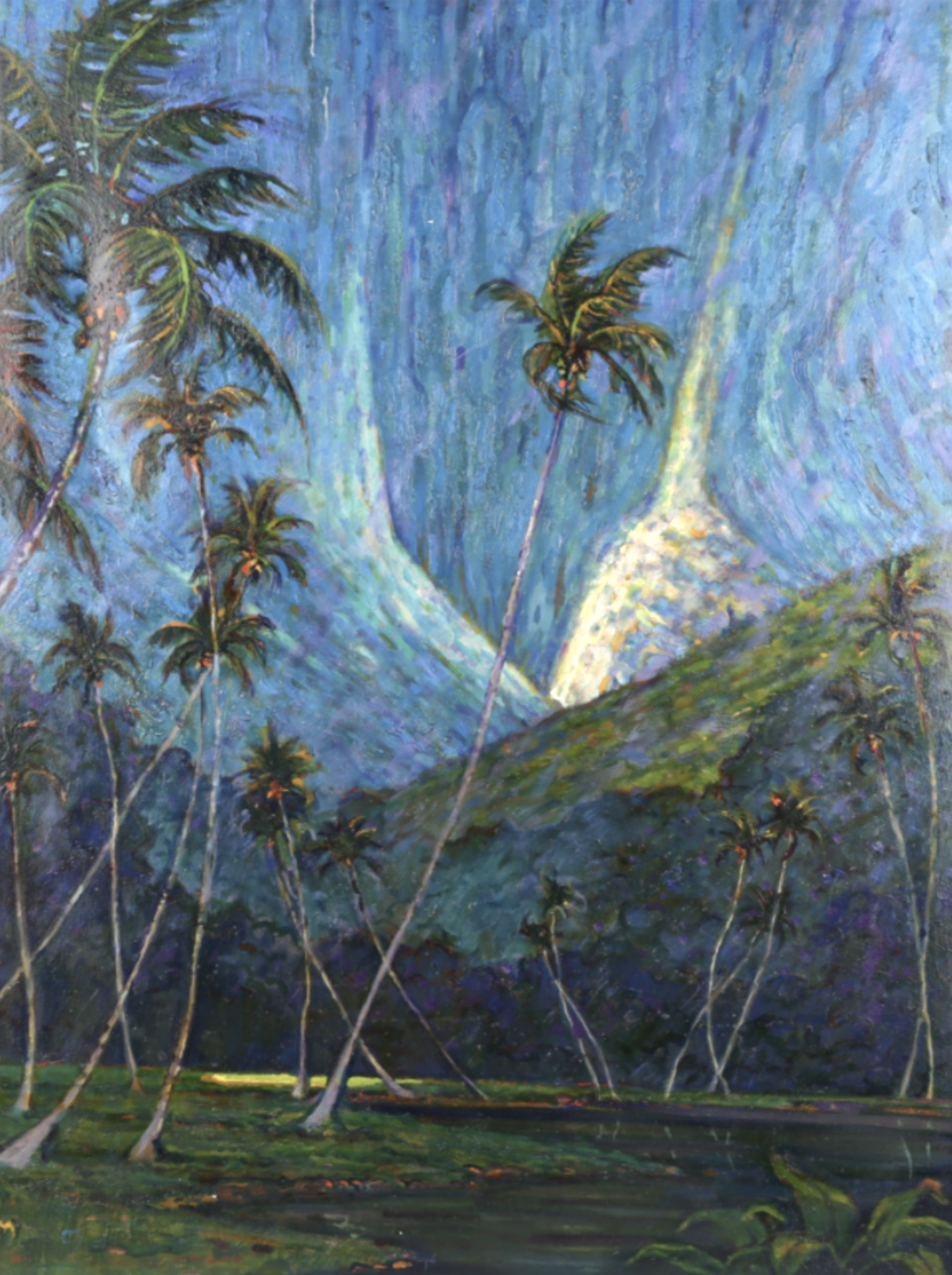 Coconut Grove by Dennis Morton