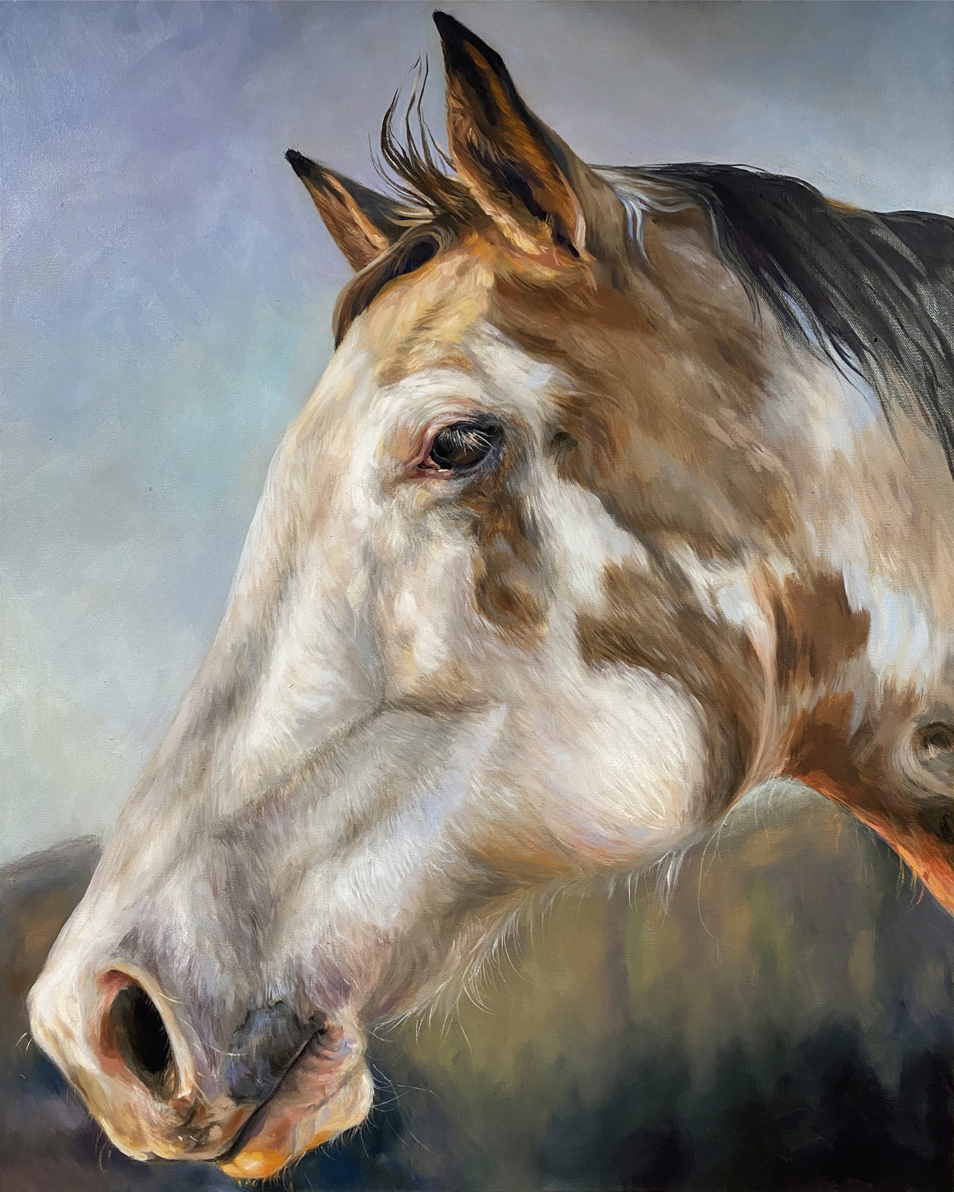 Horse Portrait no.01 by Allyson Burke Coffren