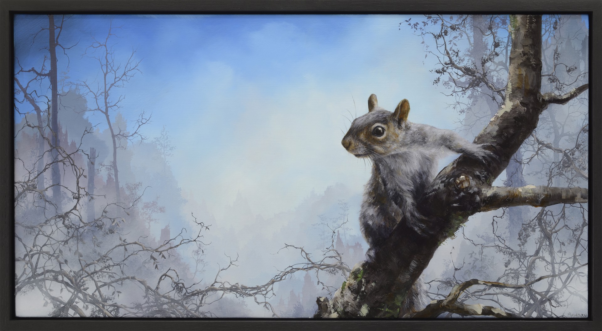 Eastern Grey Squirrel by Brian Mashburn
