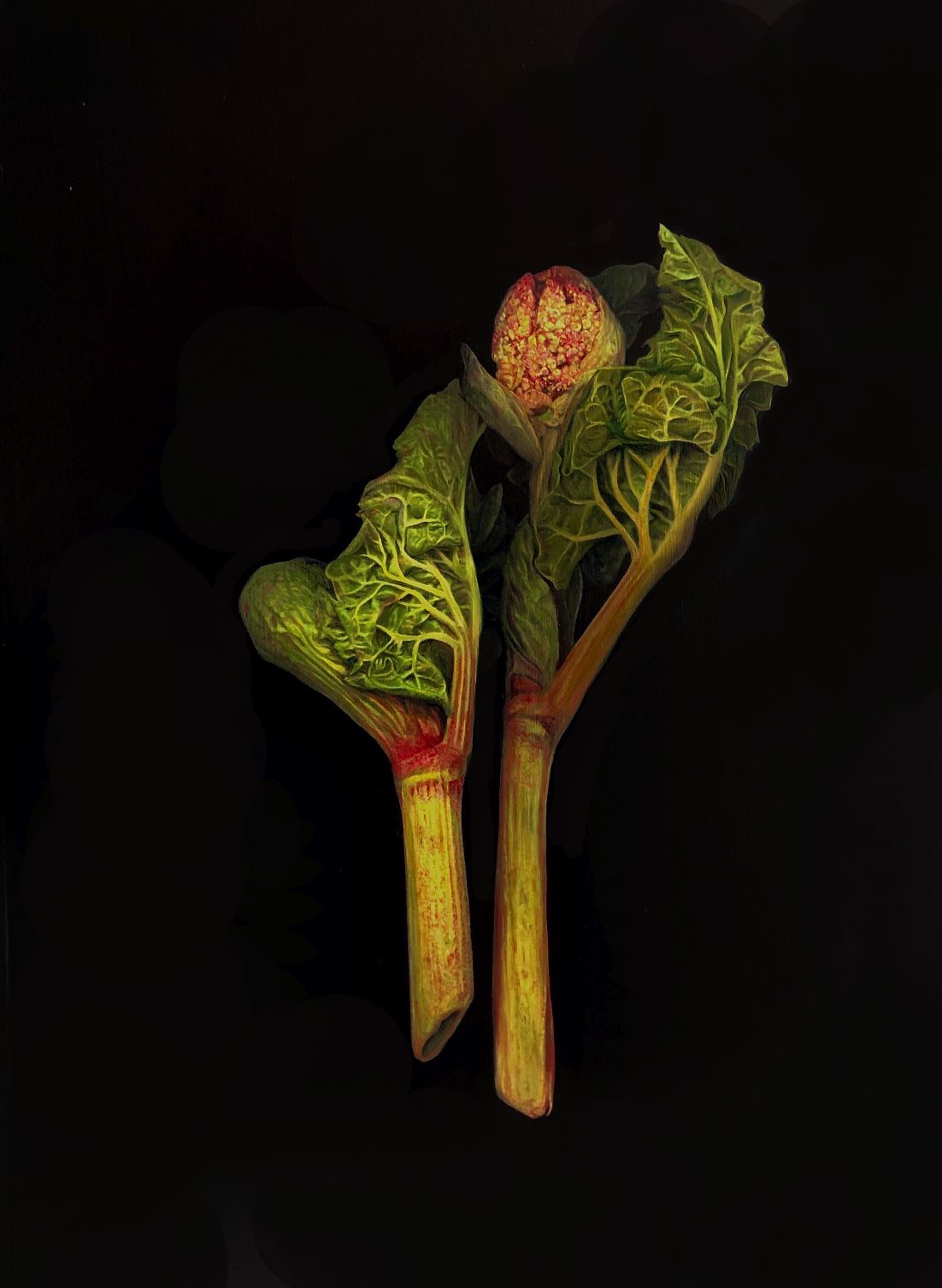 Rhubarb by Tilly Woodward