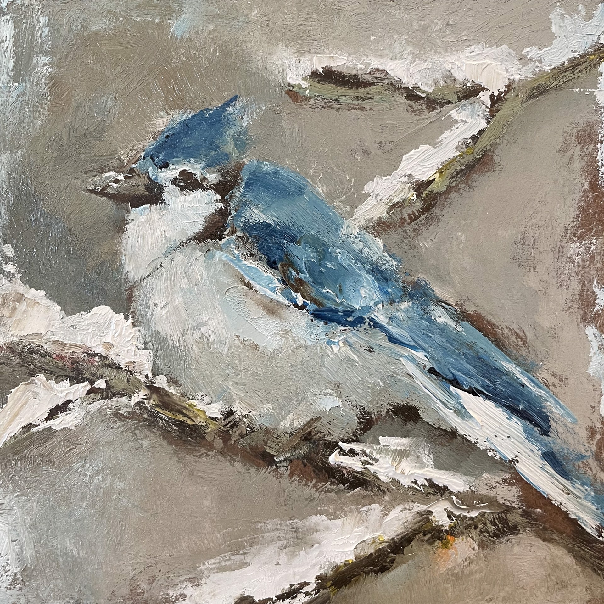 Do Not Worry (Blue Jay) by Anne Neilson