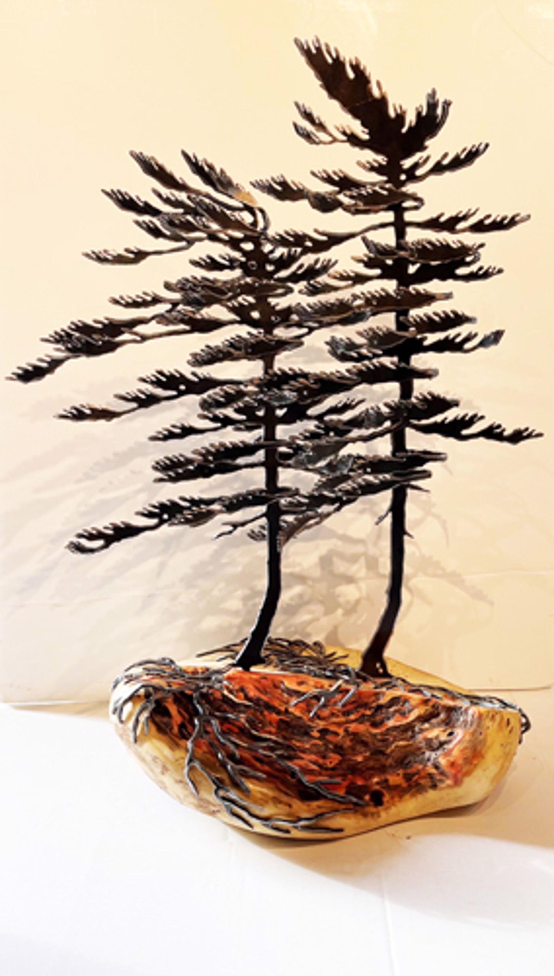 Two Windswept Pine on Maple 659537 by Cathy Mark