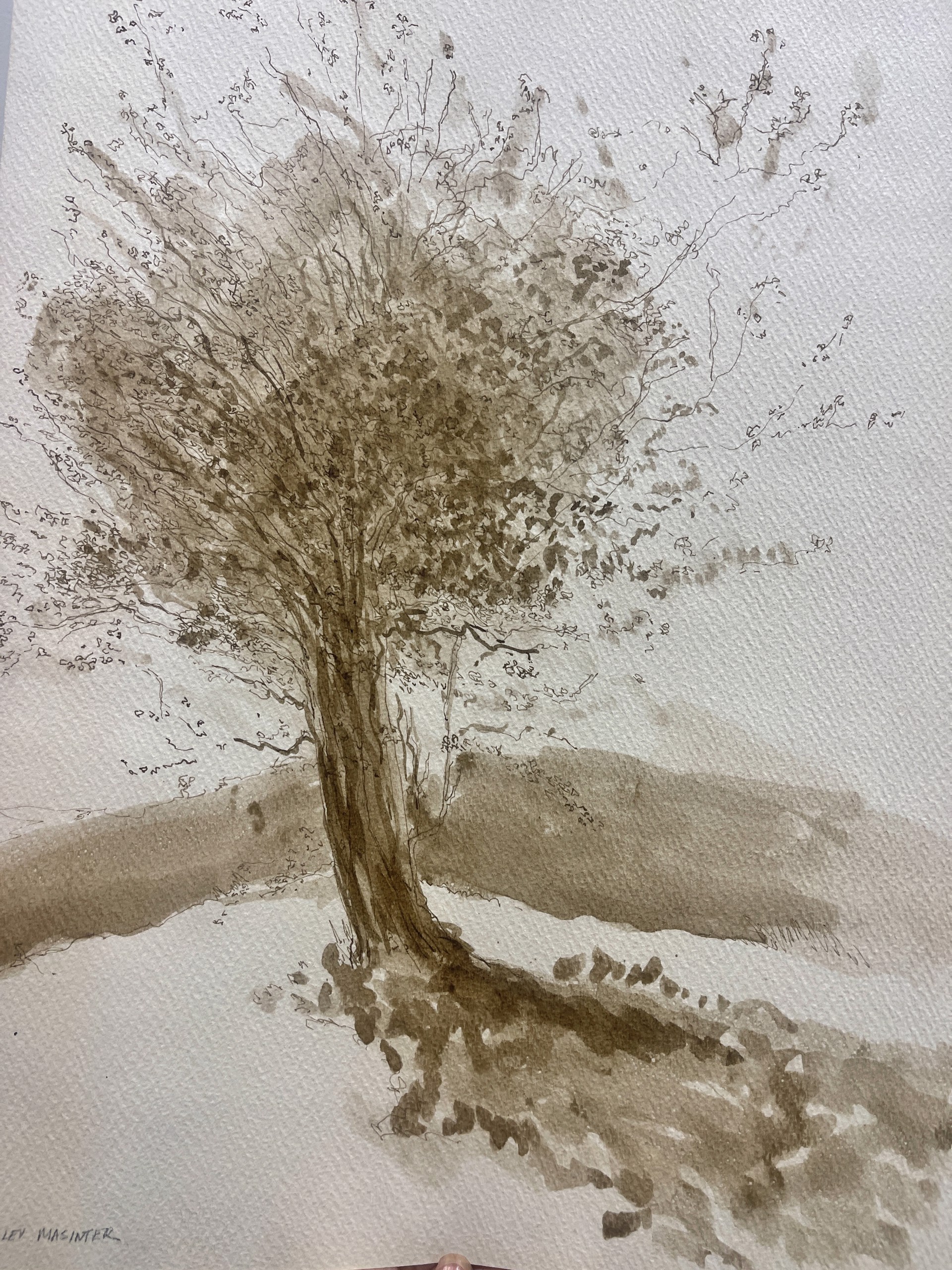 Sepia Tree Watercolor by Shirley Rabe' Masinter