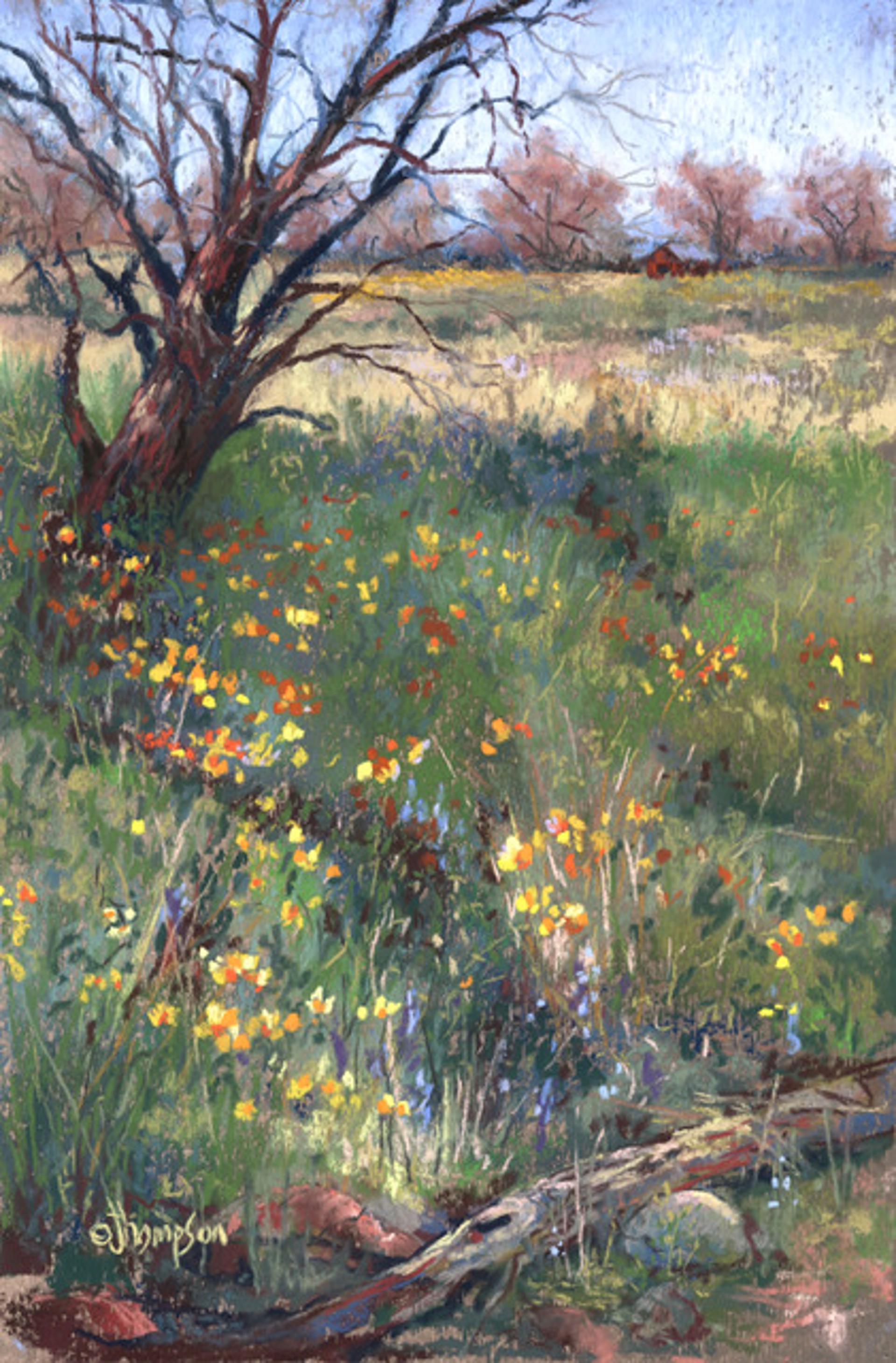 Flowers Of The Field by Jan Thompson