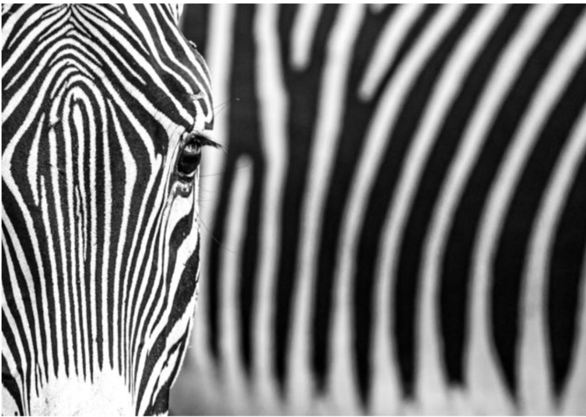 White Lines (Edition  6/12) by David Yarrow