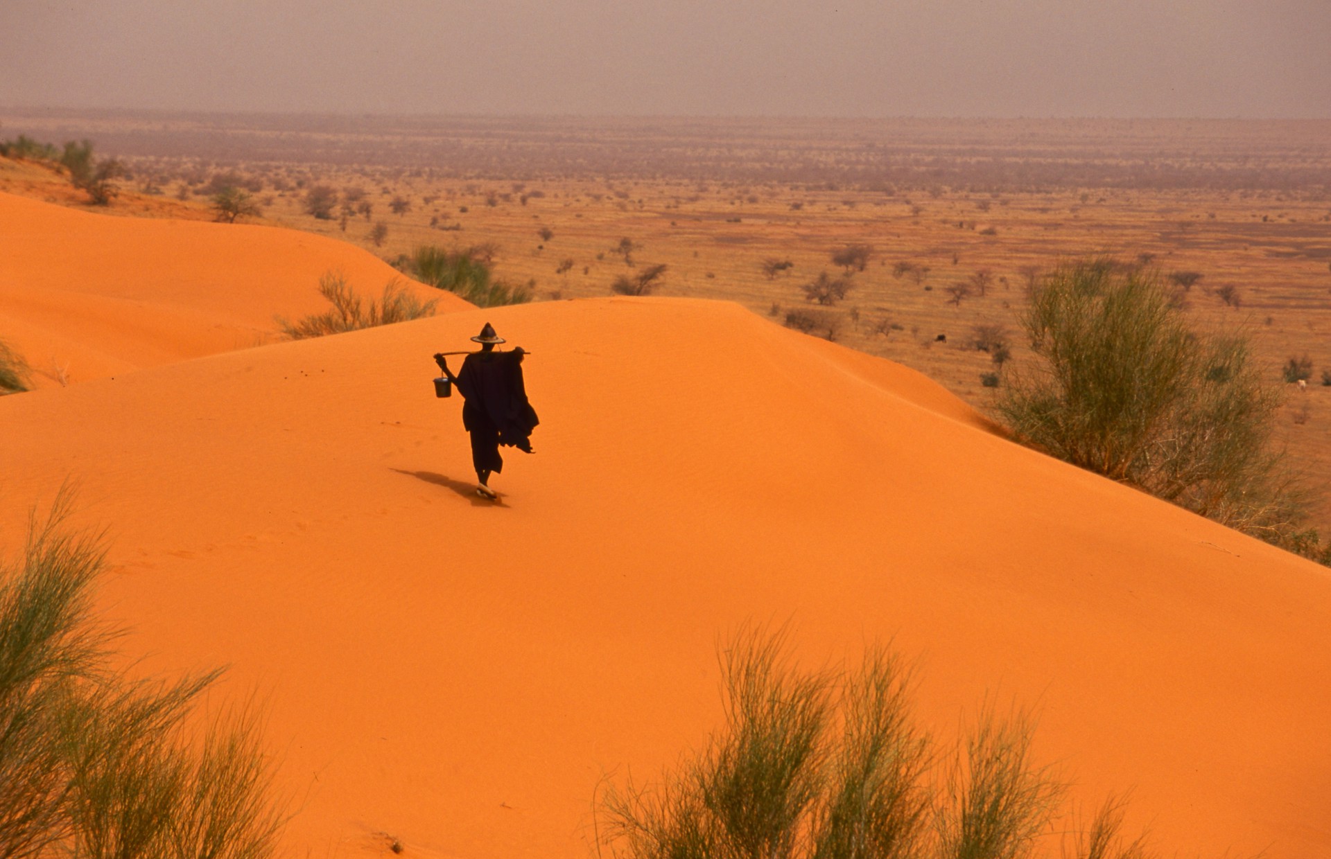 Sahel of Mali by Carlton Ward Jr