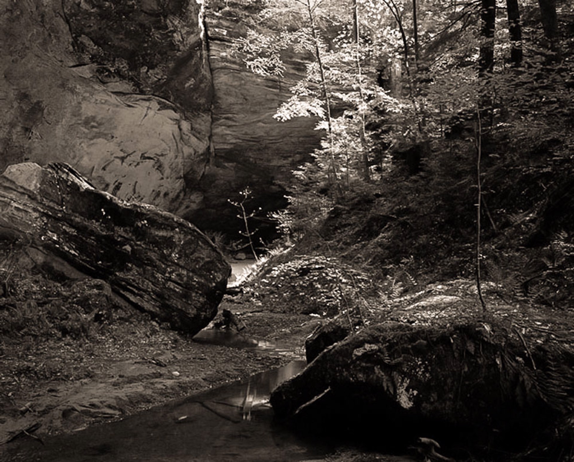 (#114) Stream below Ash Cave II  (1/34) by Frank Hunter