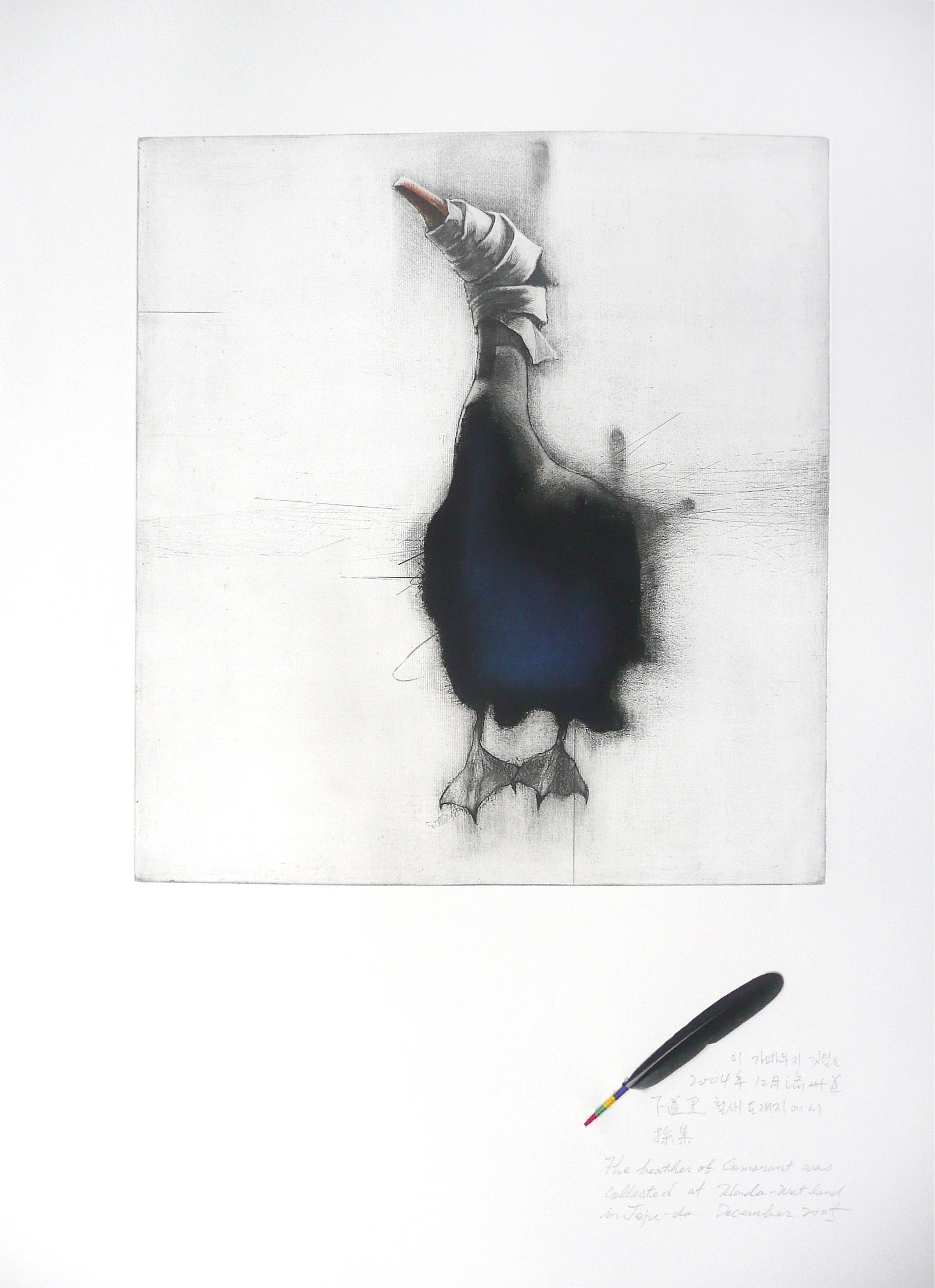 A Blind Bird: Cormorant (2/10) by Gilchun Koh
