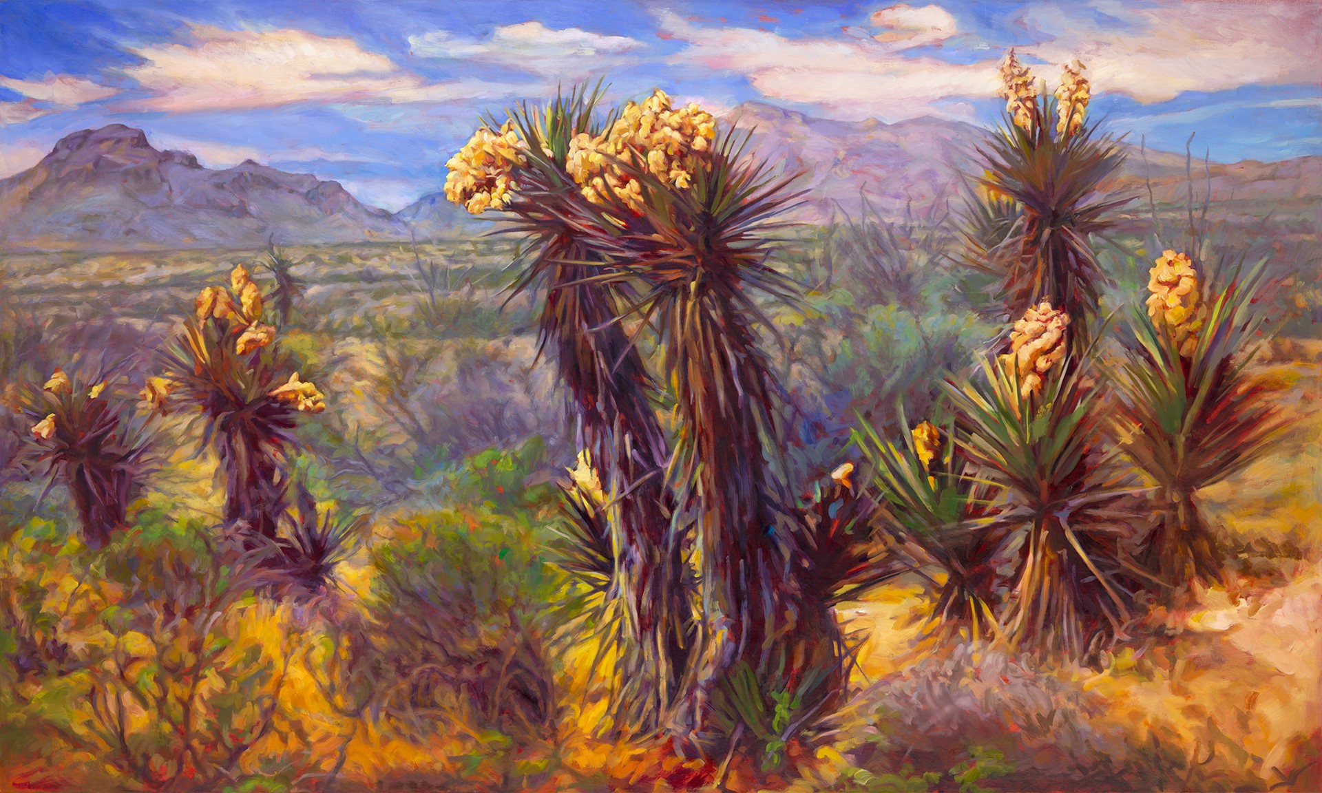 Yucca Family, Texas Highways by Felice House