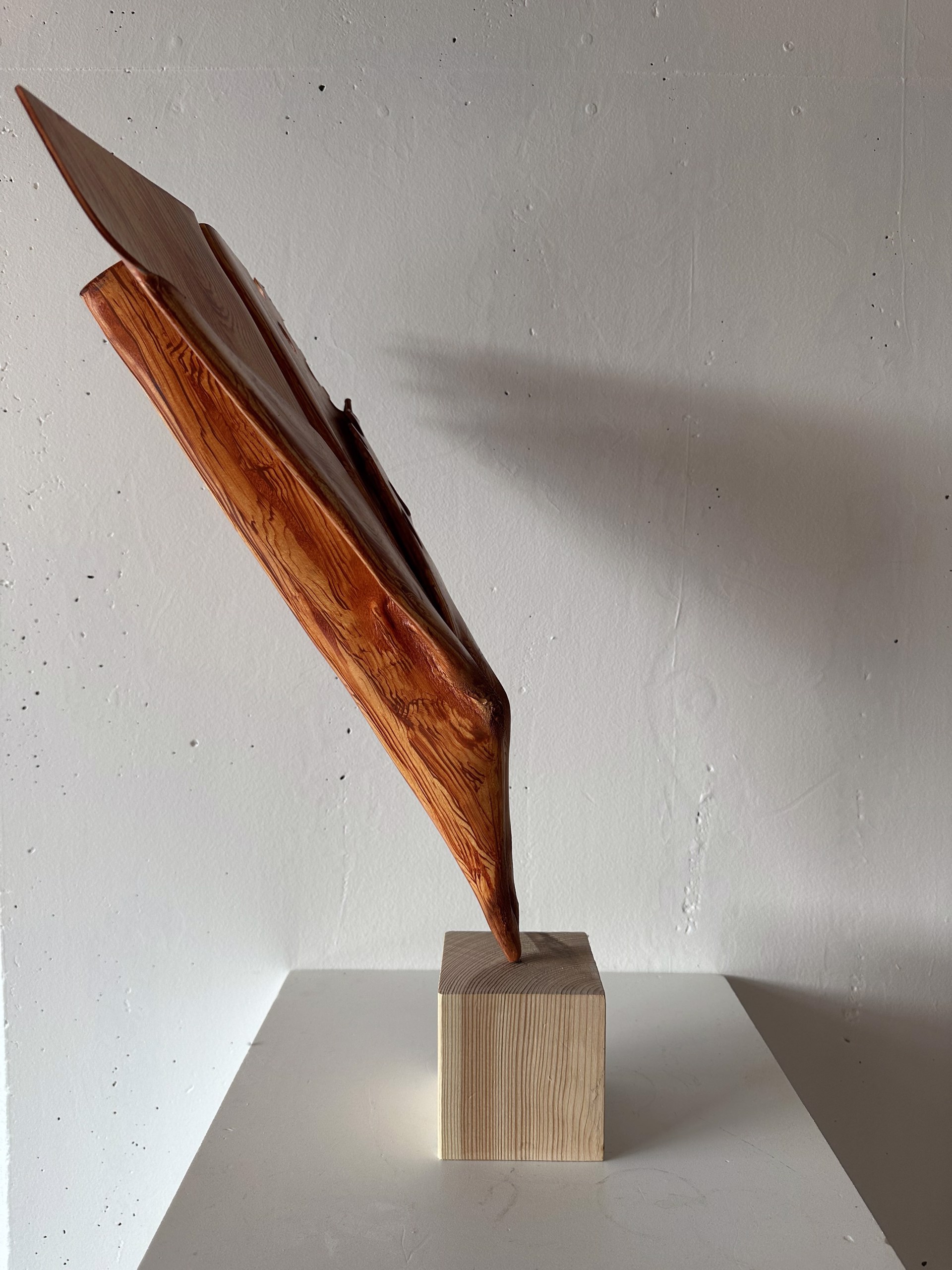Wooden Paper planes by Johannes Ehemann