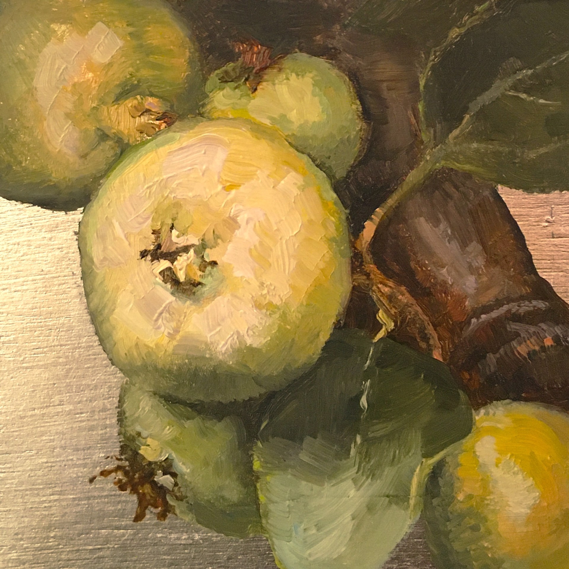 Quince Study by Linda Tracey Brandon