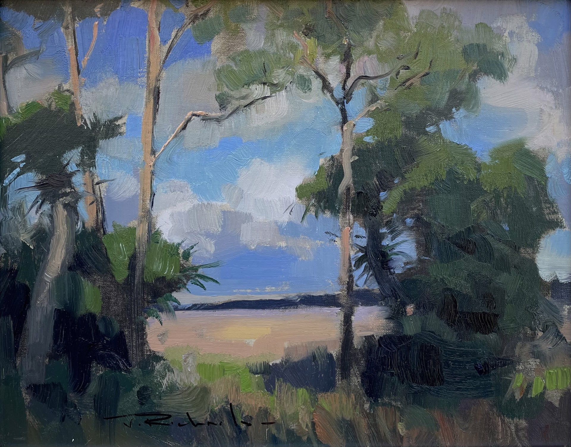 Through The Trees by James Richards, AIS Master