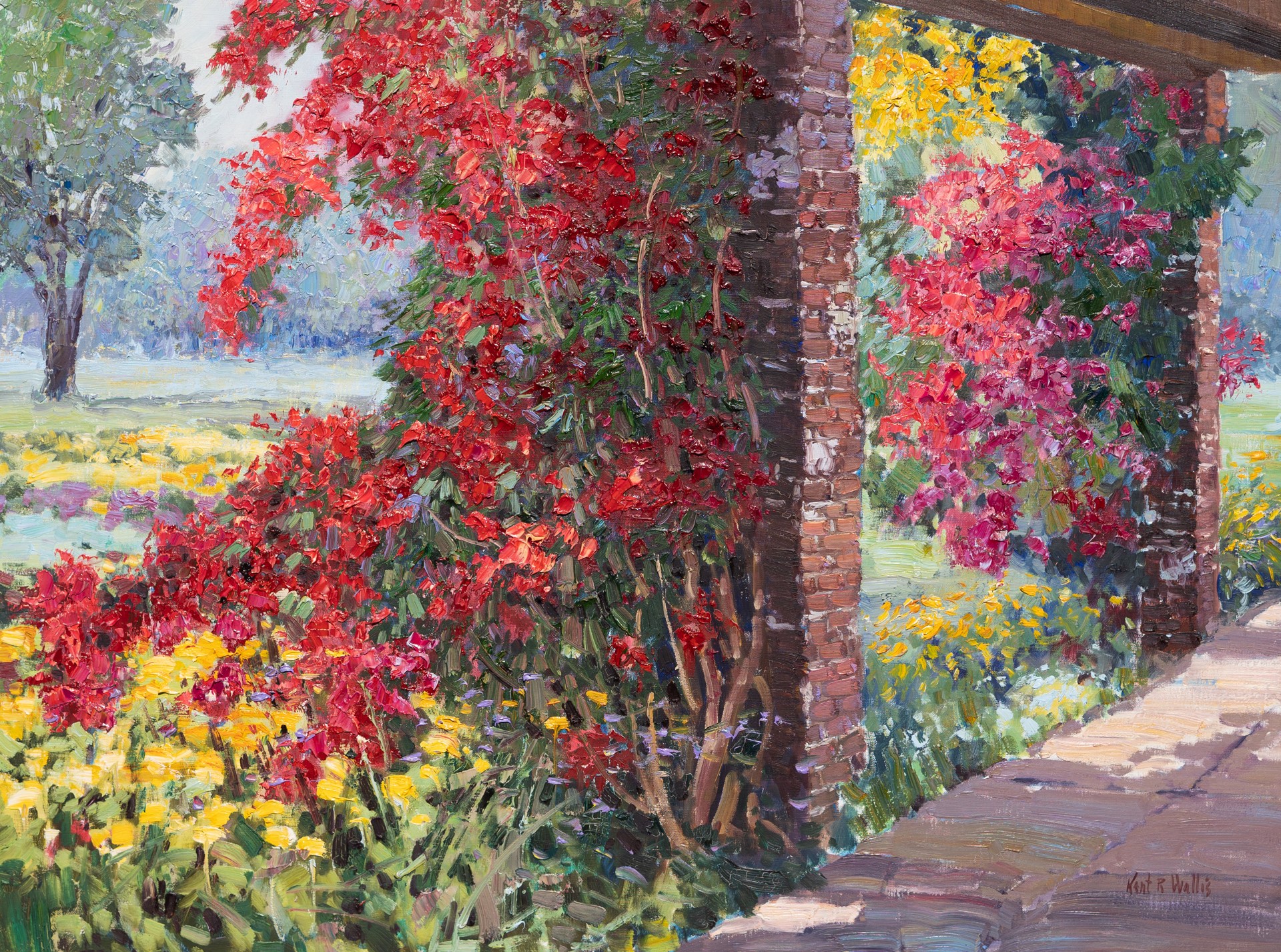 Bougainvillea at the Patch by Kent Wallis
