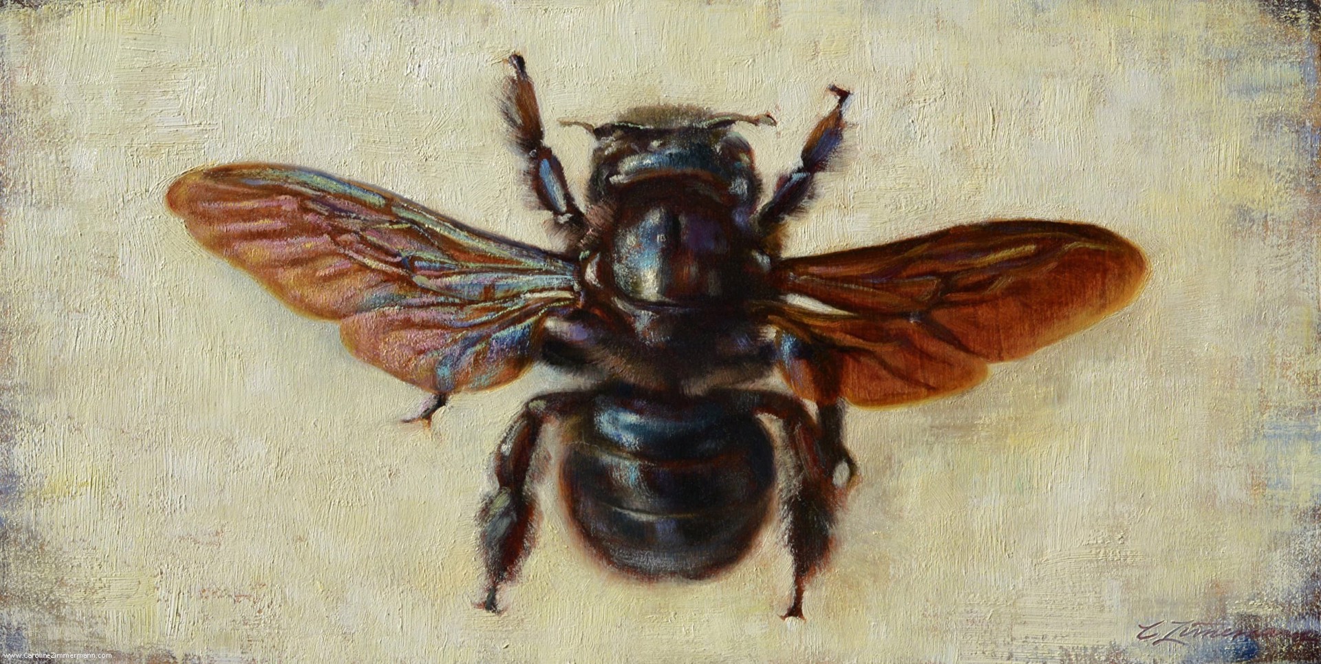 Violet Bumblebee by Caroline Zimmermann