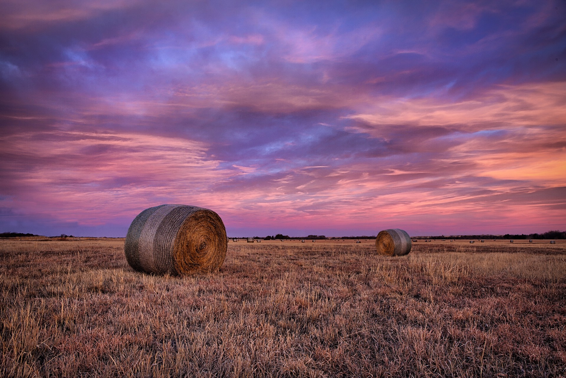 Prairie Beauty by Thomas Zimmerman