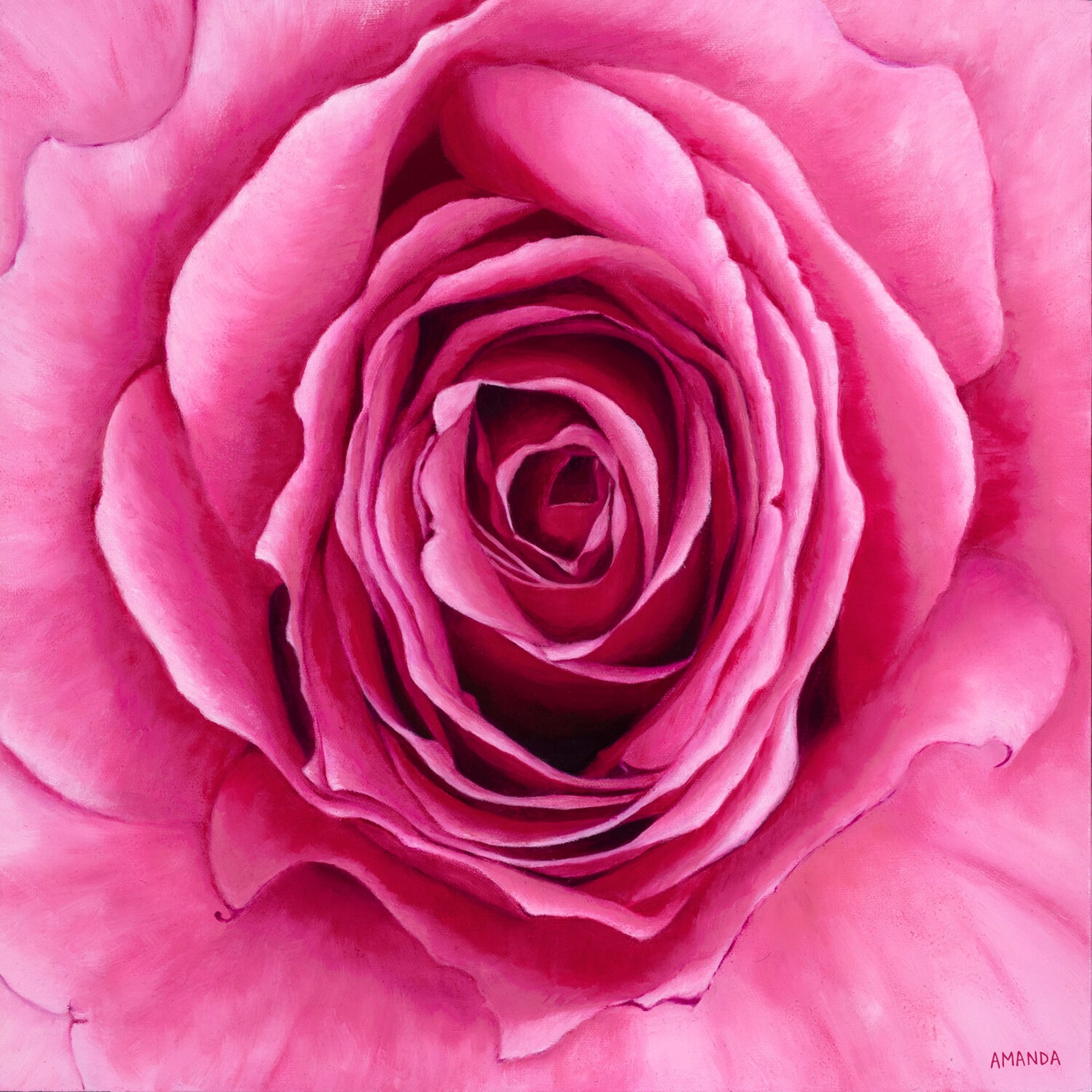 Carolyn's Rose by Amanda Coelho