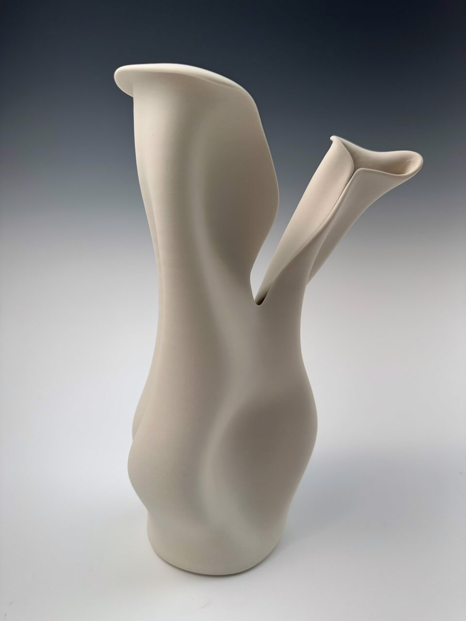 PV 7 by David LaLomia
