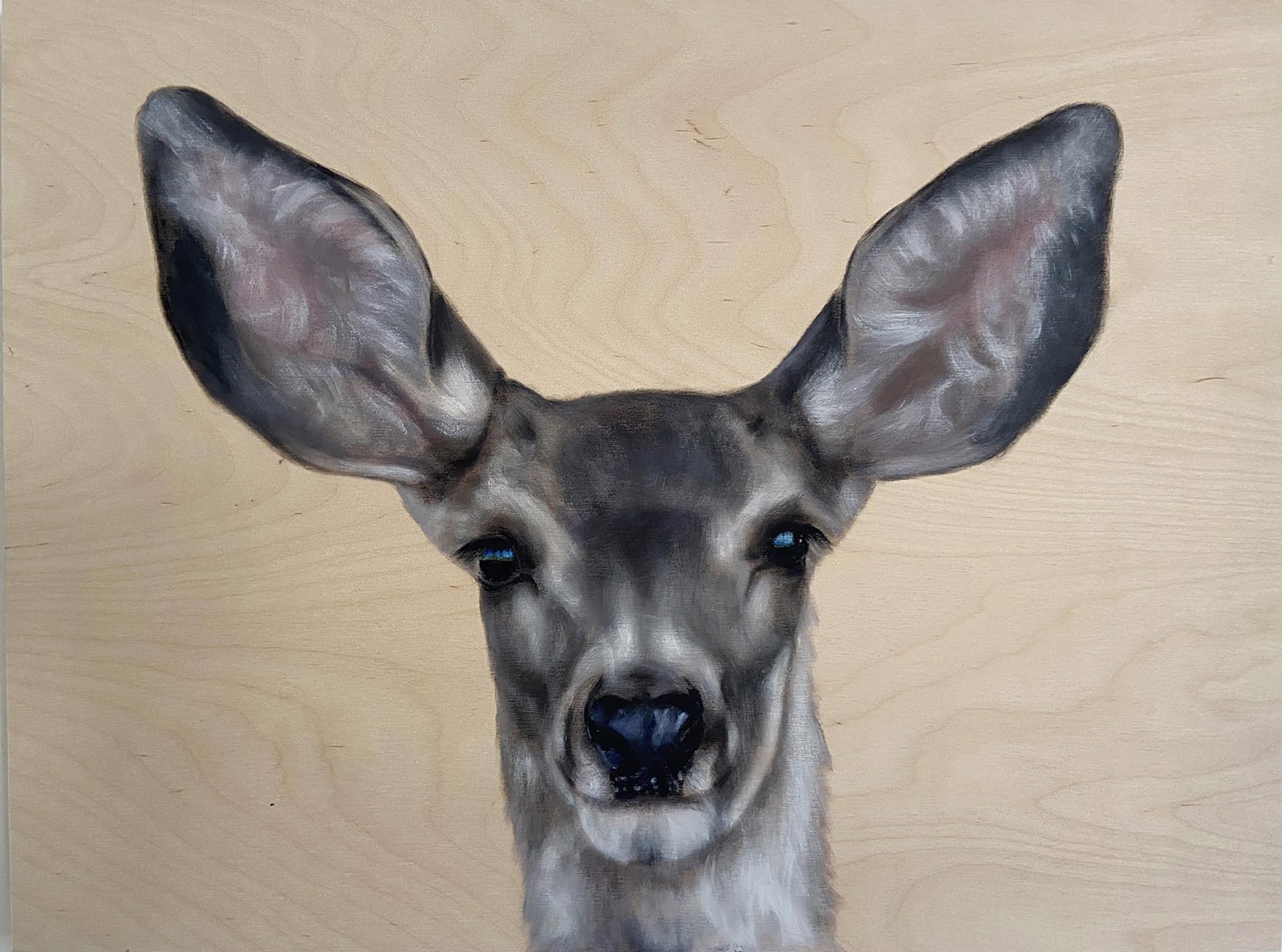 Deer in the Headlights by Gretta Gibney