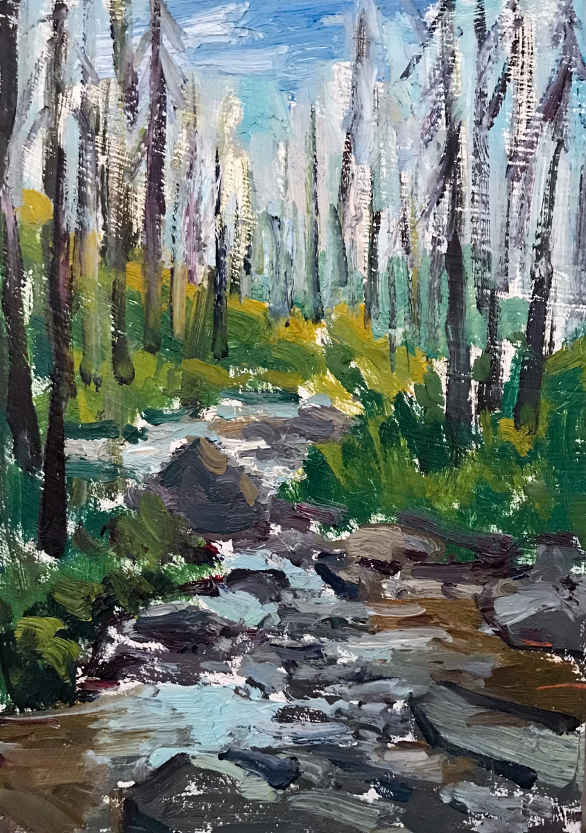 Roaring Lion Creek by Turner Vinson
