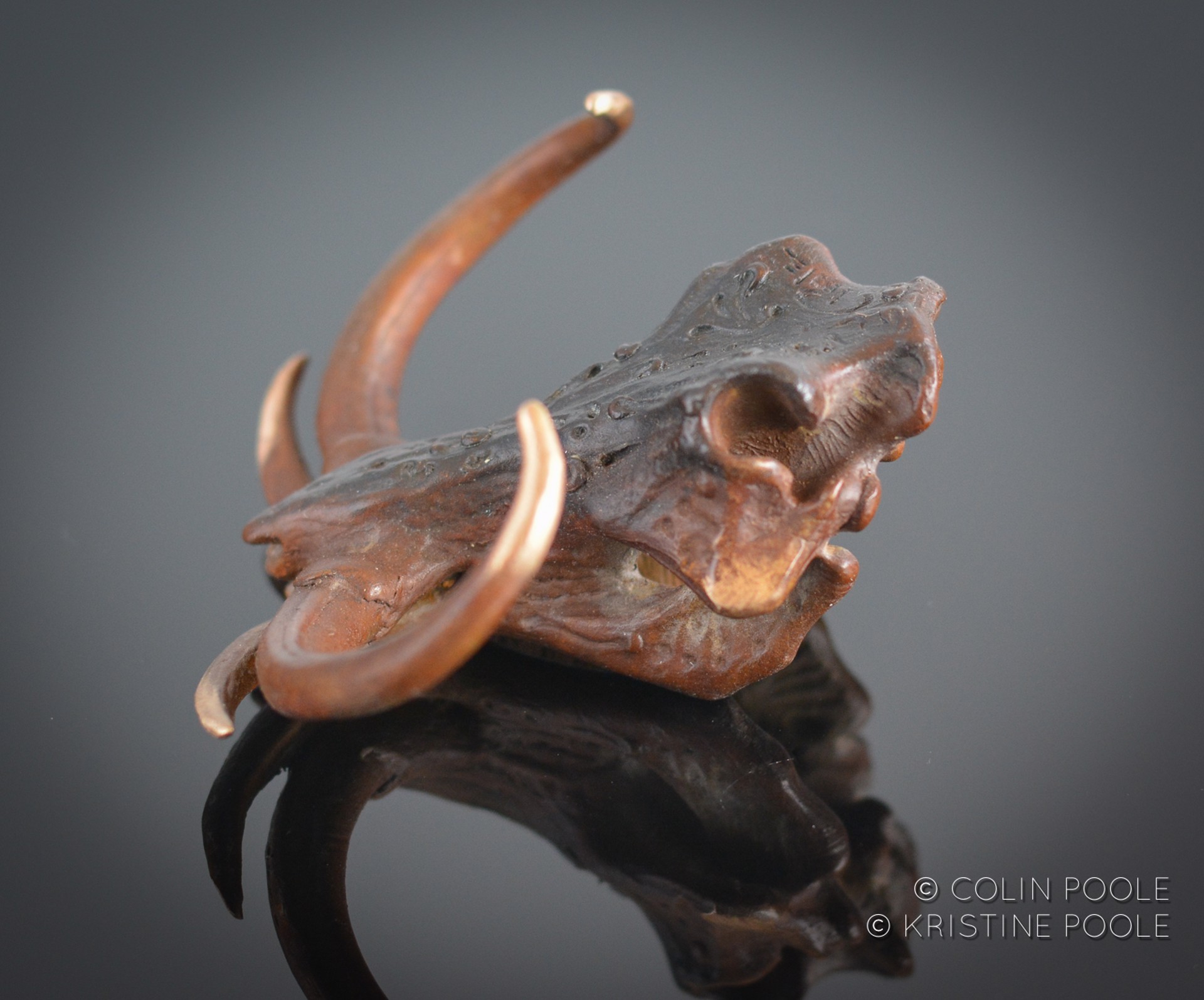 Grand Tusker  (Warthog)Talisman Skull 5 by Colin & Kristine Poole