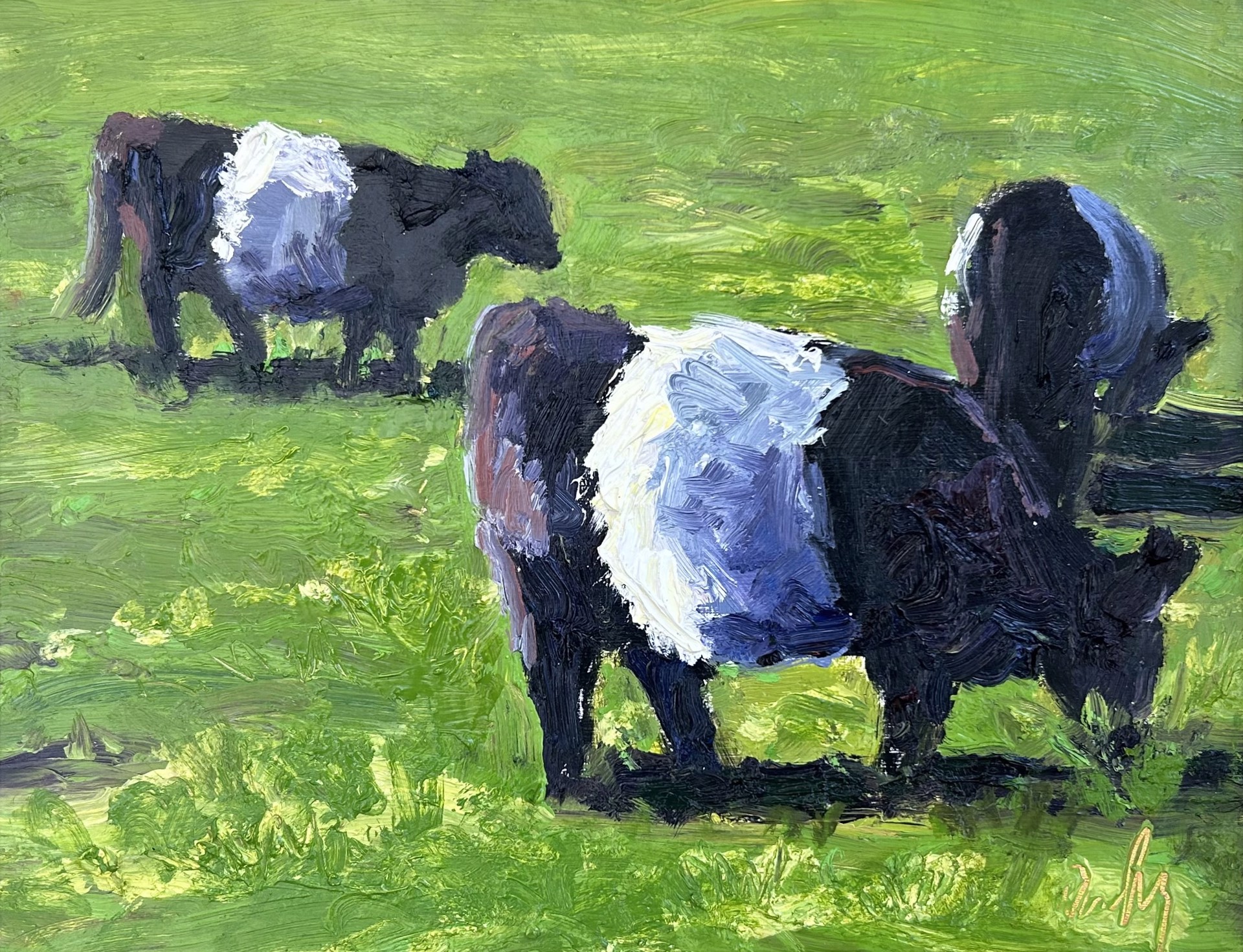 Three Belted Galloways by Dan Daly