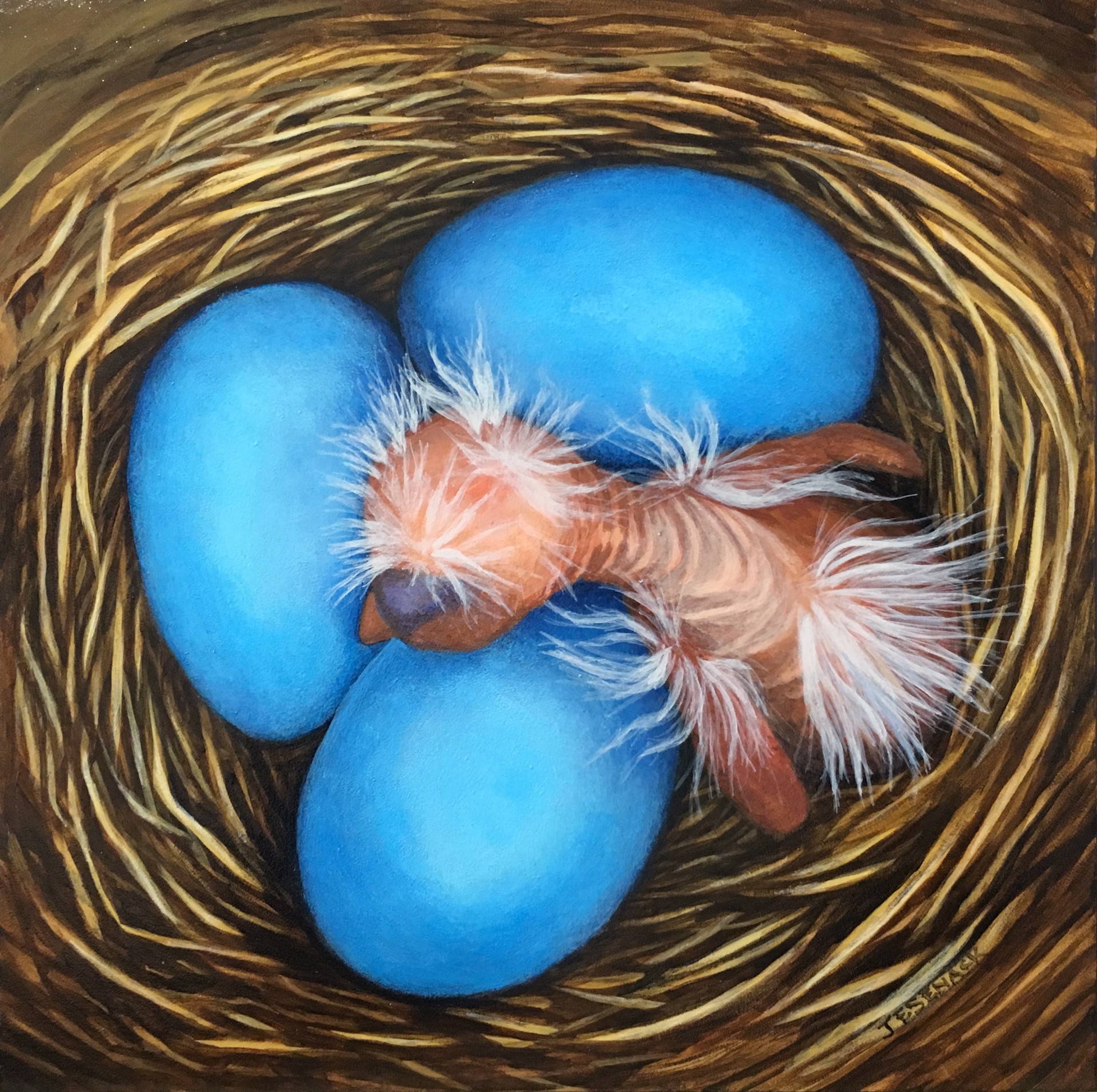 American Robin Nest by J.Elaine Senack