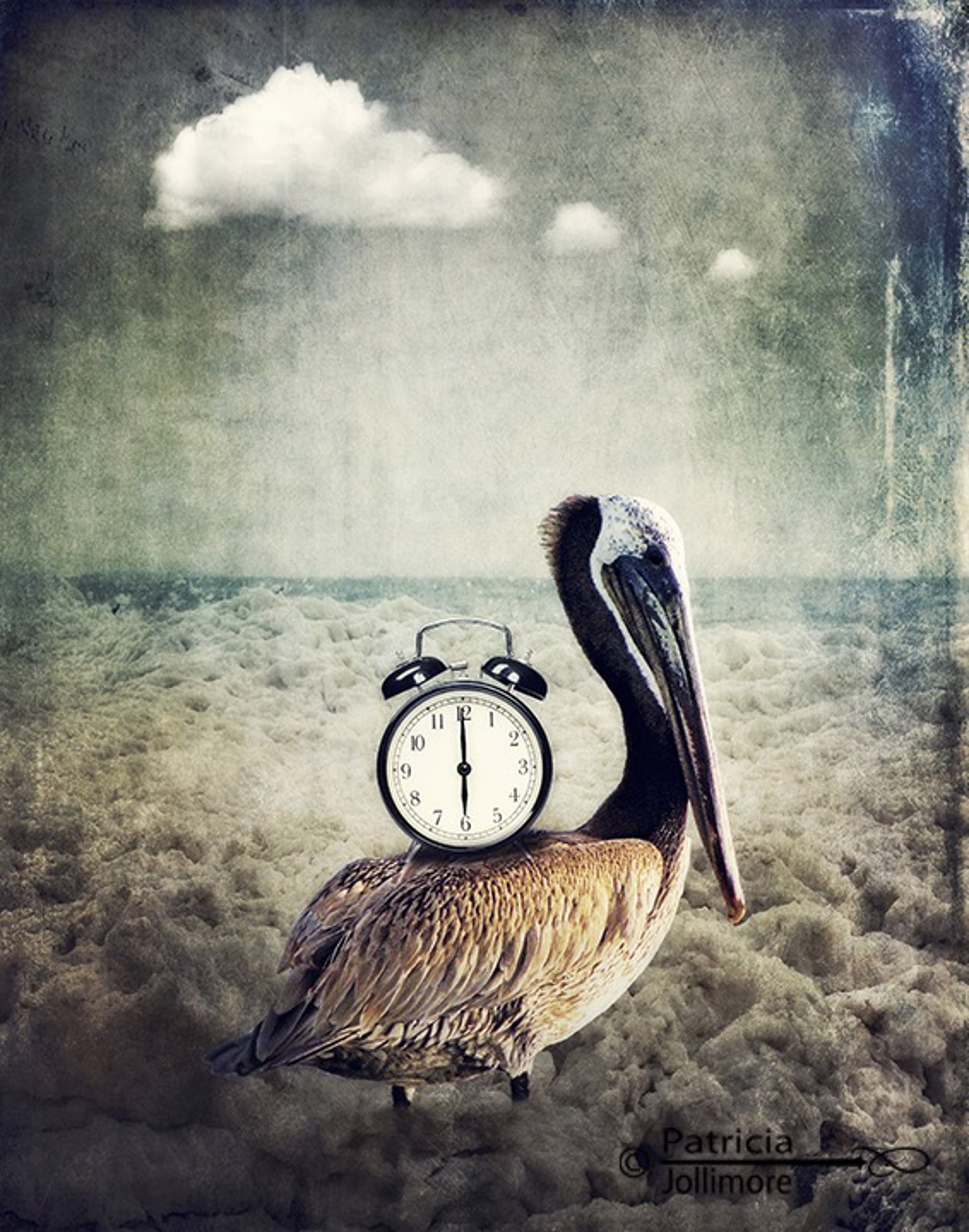 Timekeeper by Patricia Jollimore