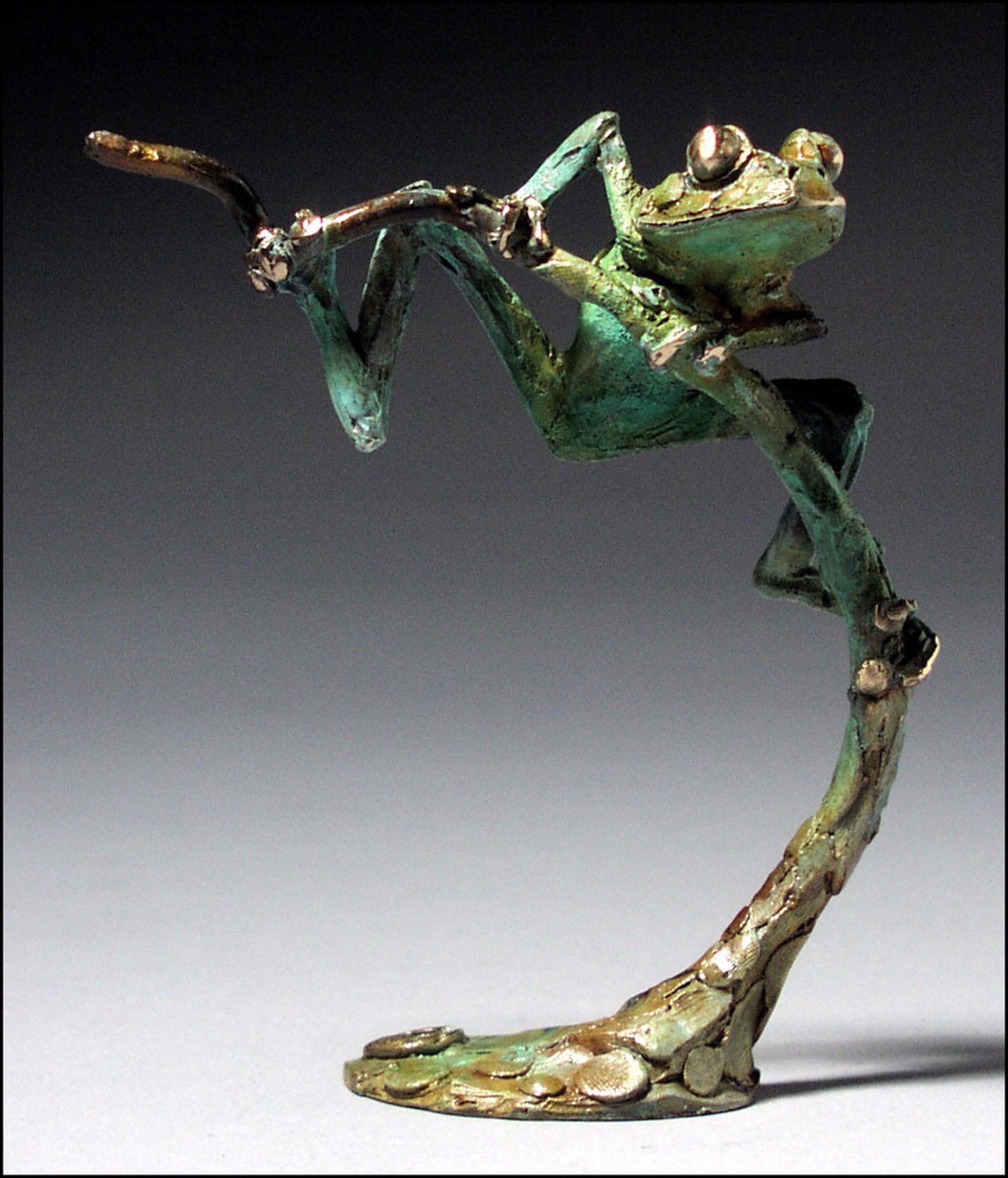 Tree Frog A by Dan Chen