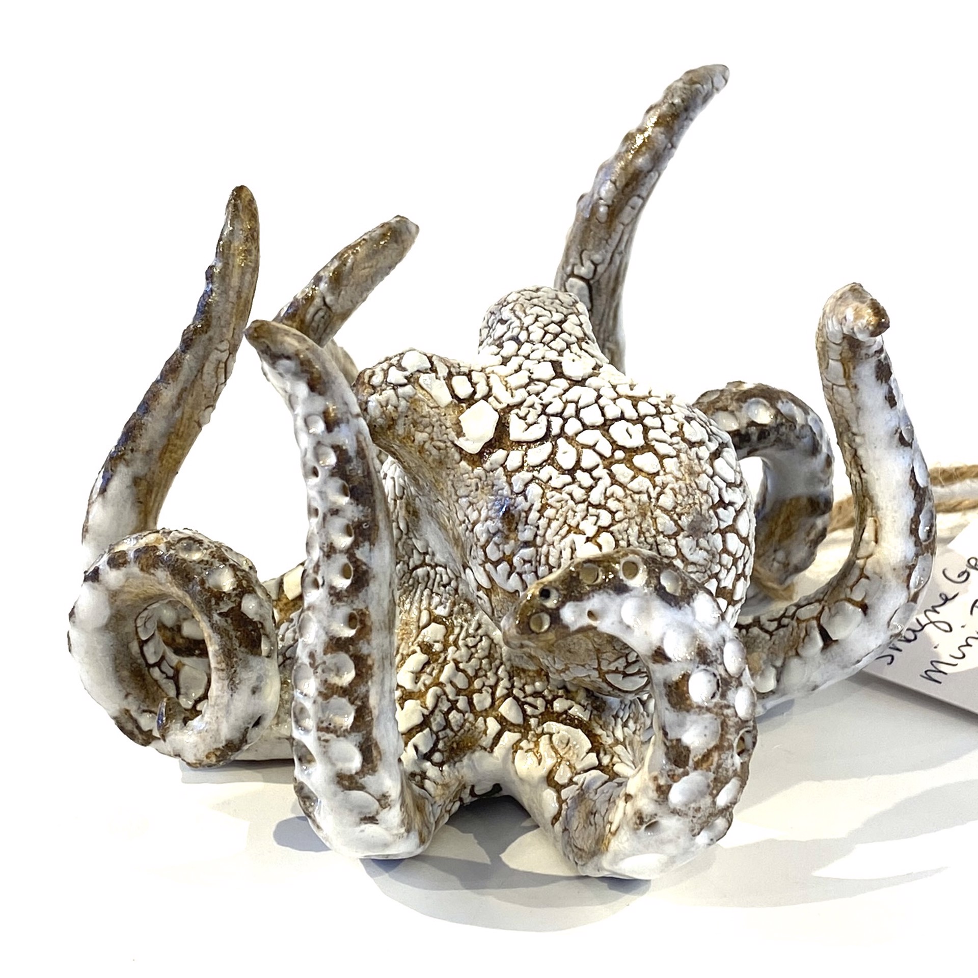 Mini Table Octopus SG23-65 by Shayne Greco