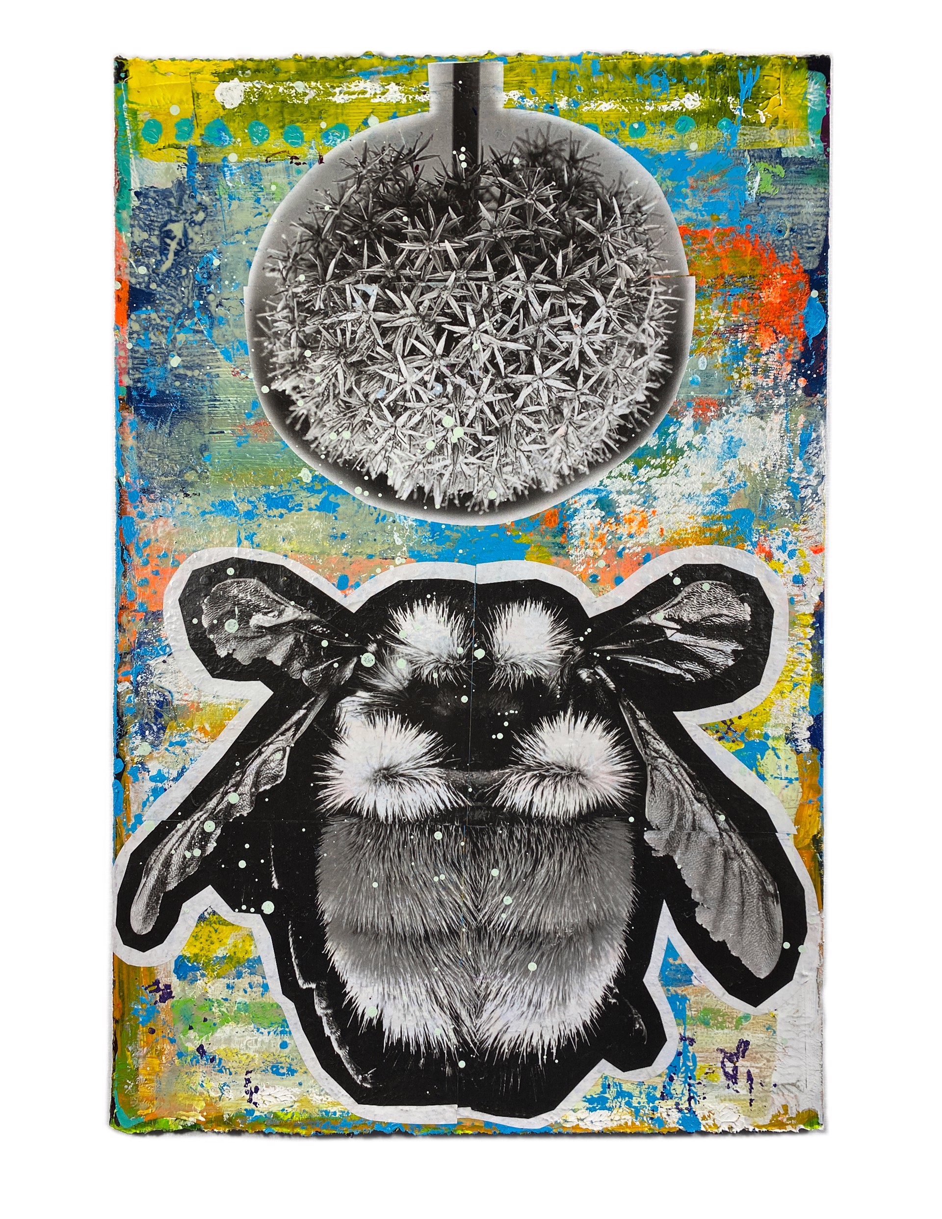 Allium + Bumble Bee by Jason Rohlf