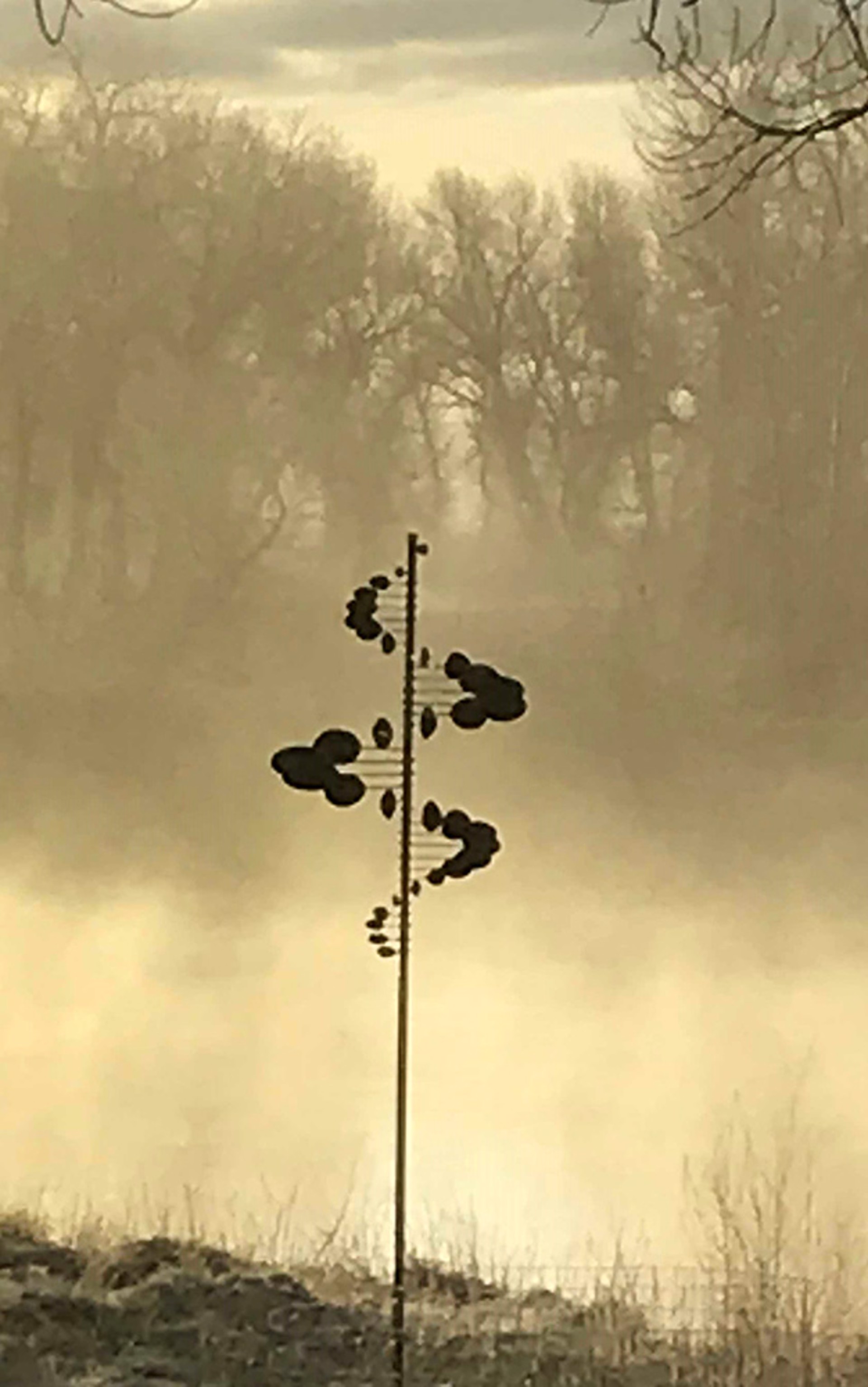 Single Helix Oval by Lyman Whitaker
