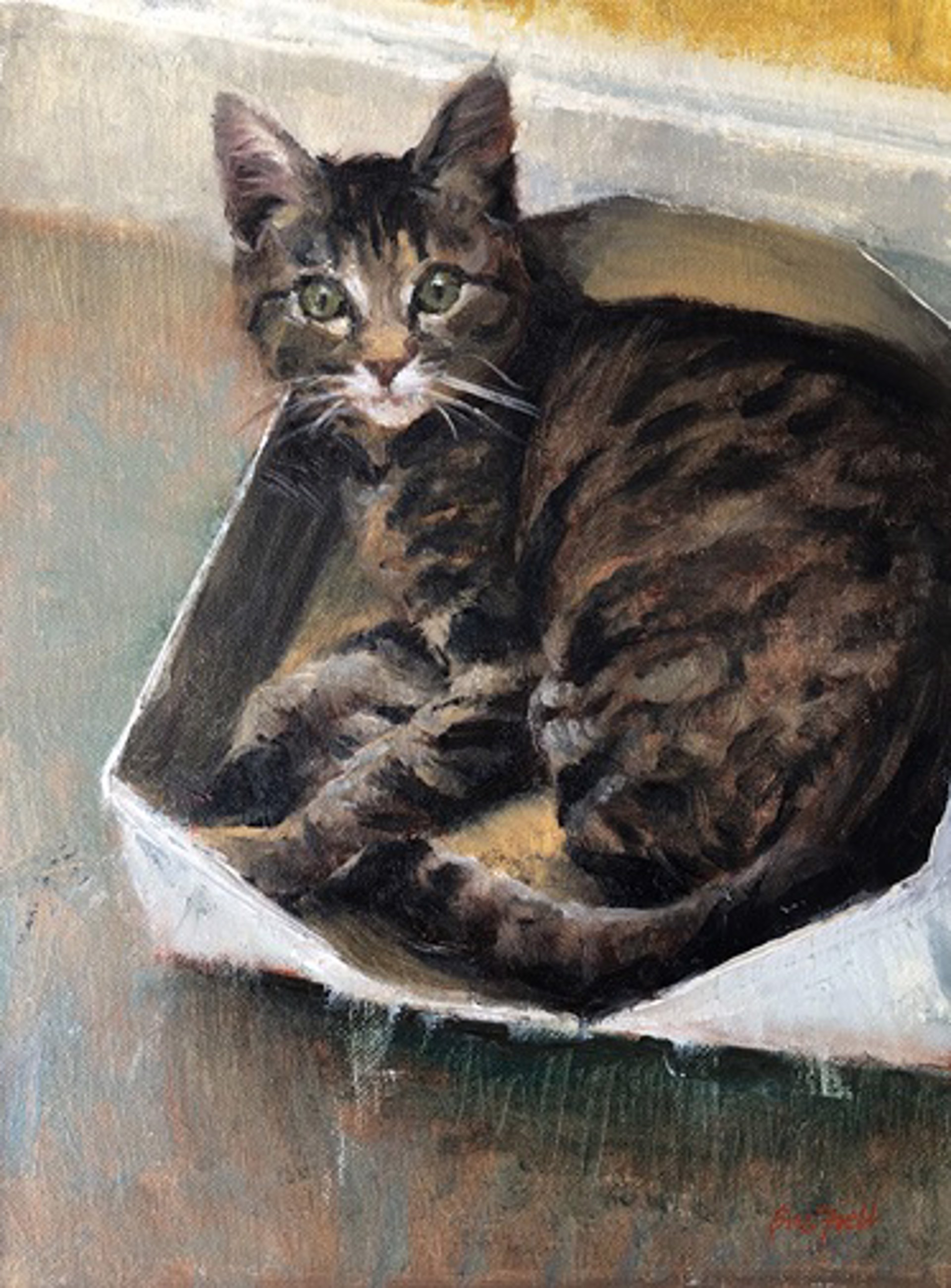 Cat in a Box by Sue Foell