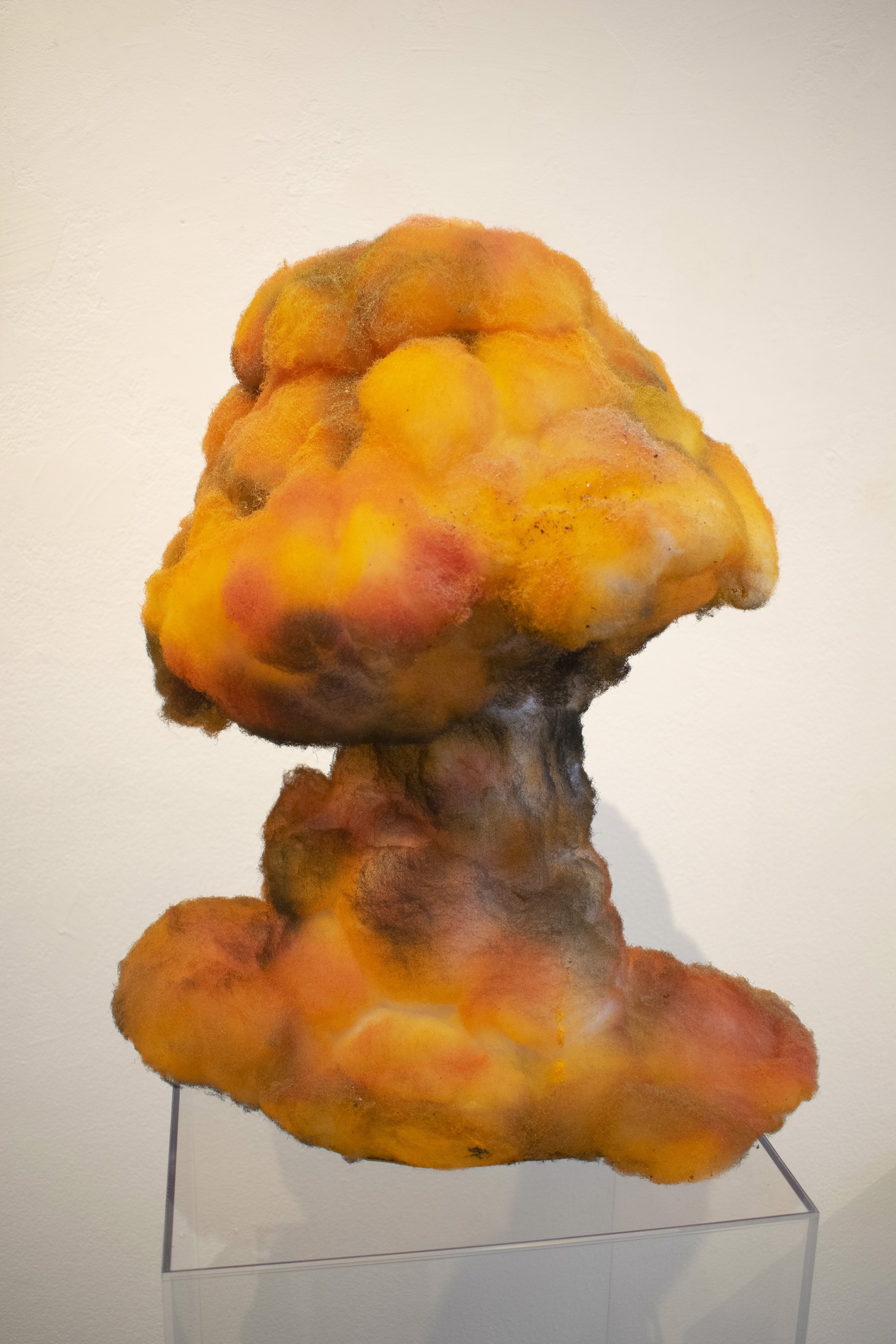 Killing Mushroom by Christine Albane