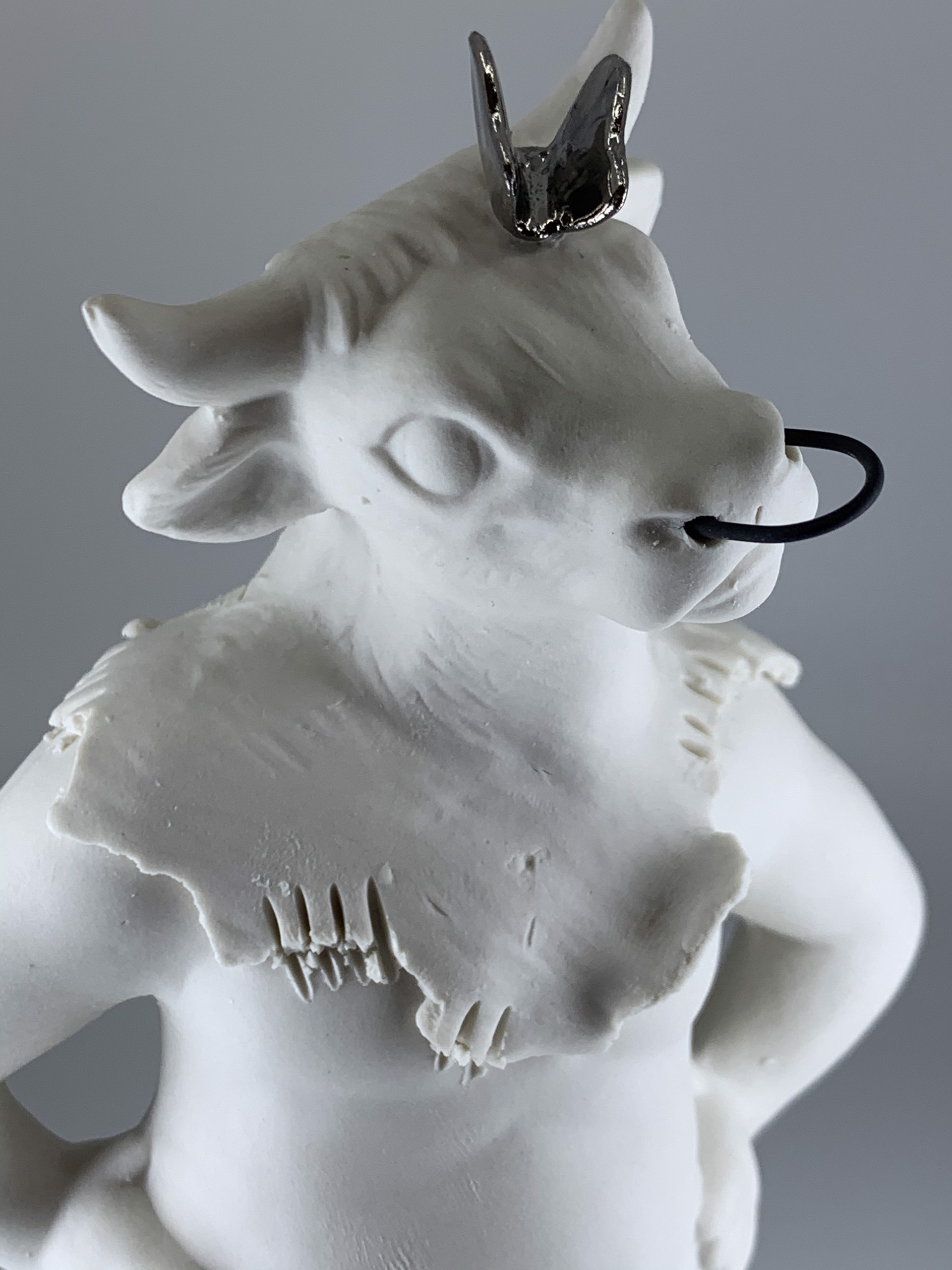Standing Bull Head II by Jeff Herrity
