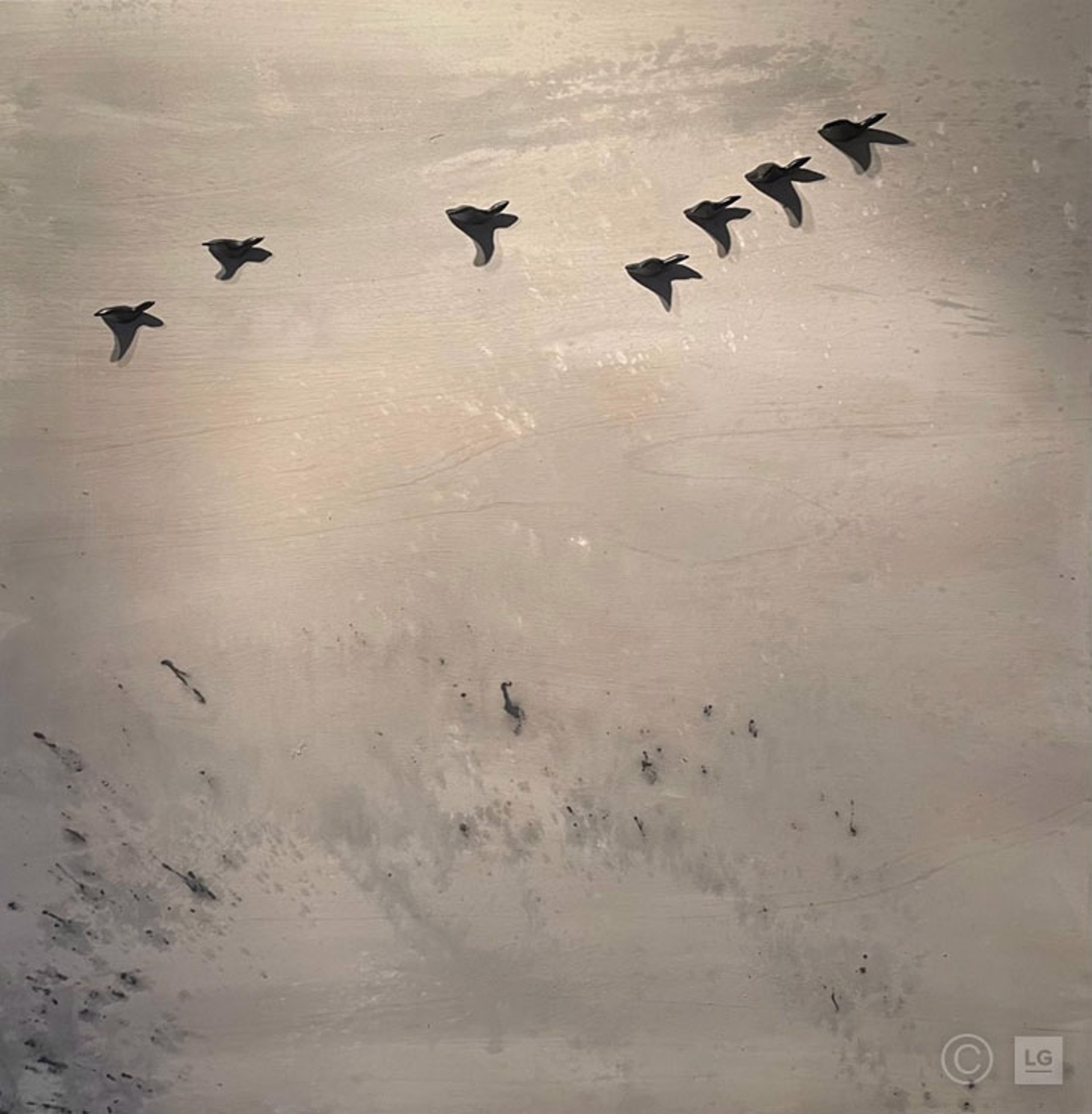 Blackbird Fly I by Saul Gray-Hildenbrand