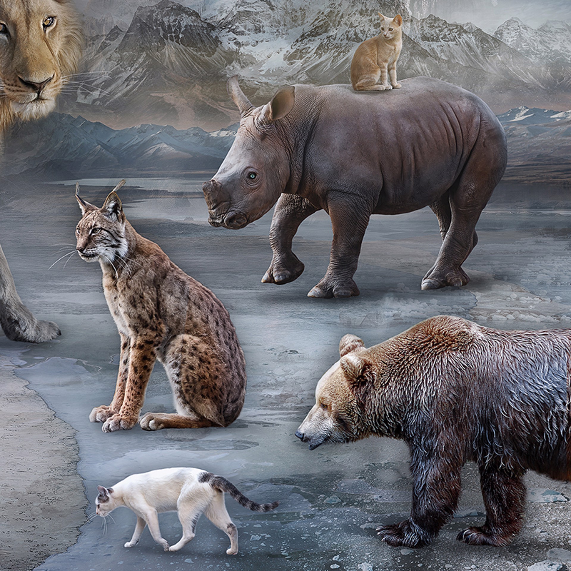 Queen of the Wild Hearts by Marcin Owczarek