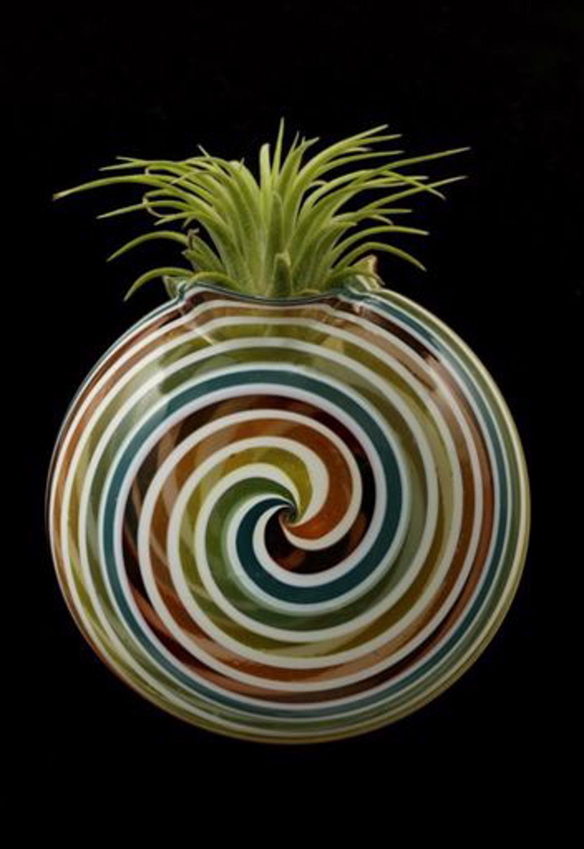 Circular Space Vase for Wall (Several Colors) by Jason Probstein