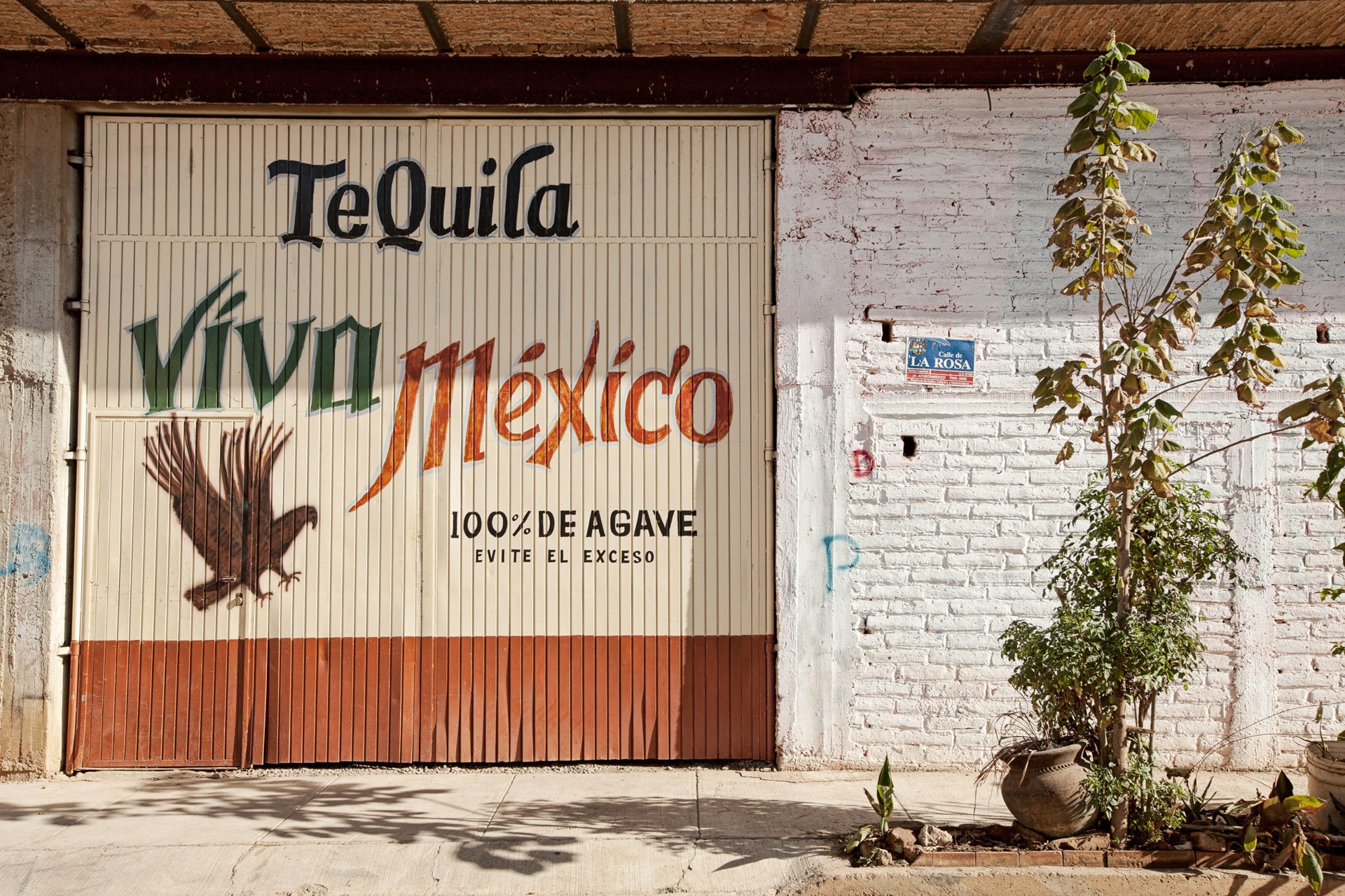 Tequila LIV by Joel Salcido