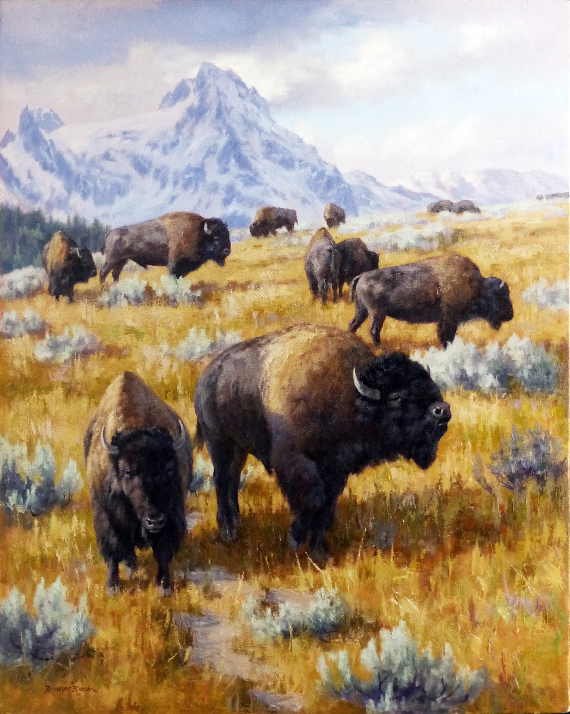 The Gathering of Mates (Bison) by Dwayne Brech