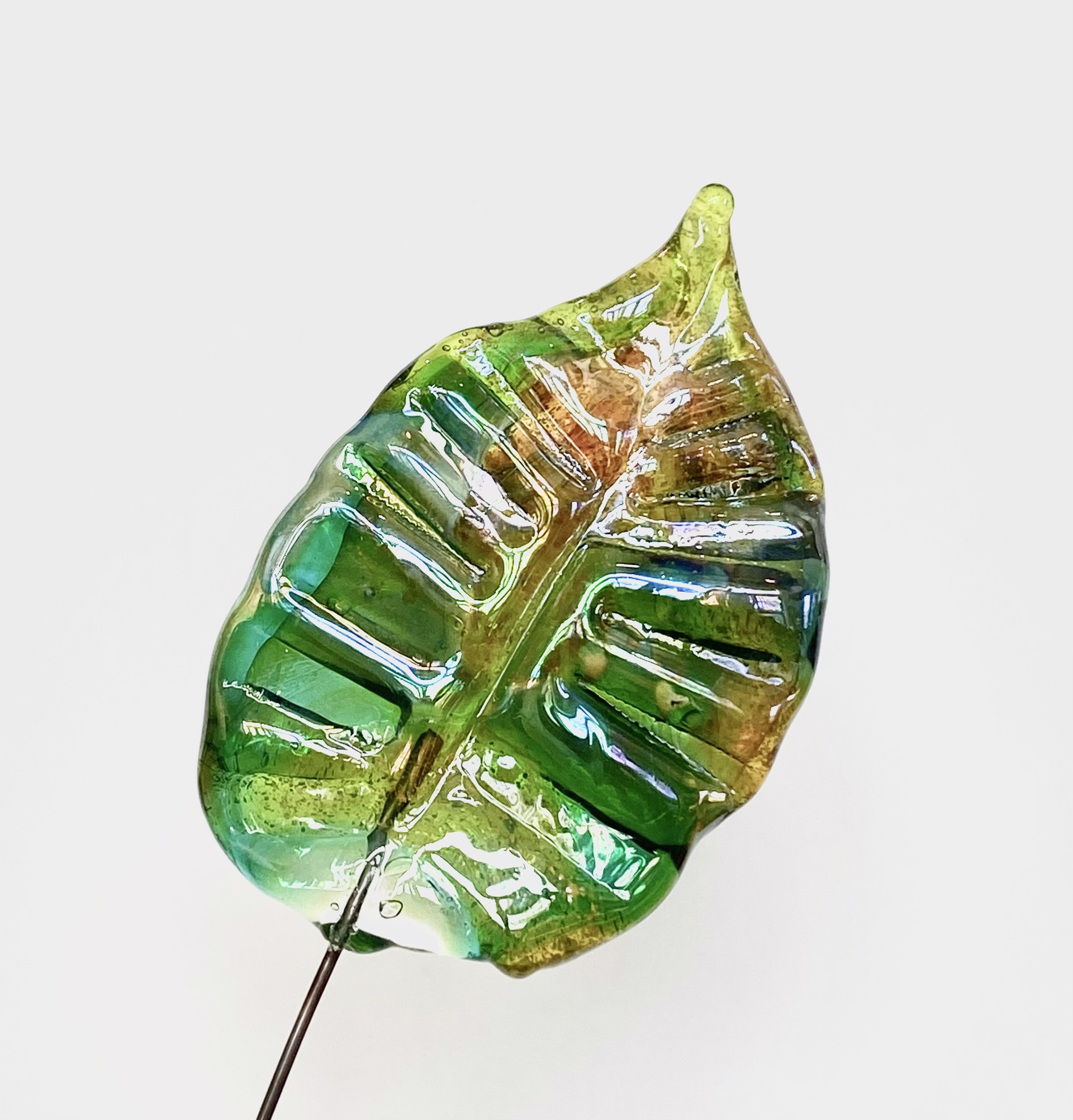 Glass Leaf 1 by Emelie Hebert